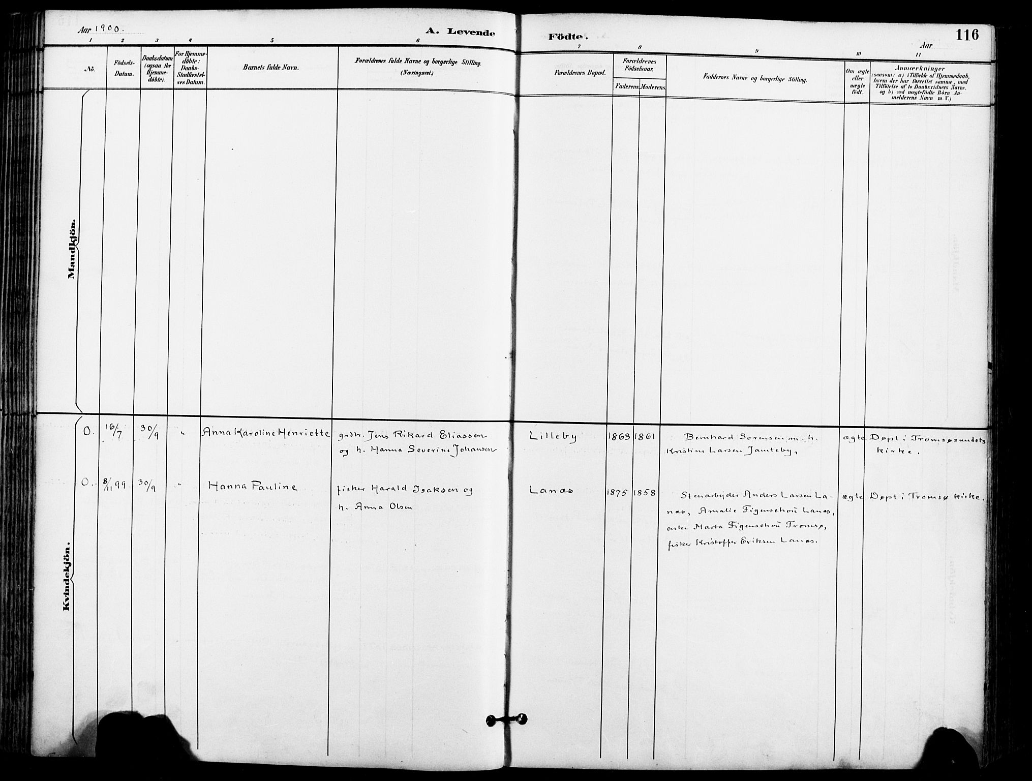 Karlsøy sokneprestembete, AV/SATØ-S-1299/H/Ha/Haa/L0007kirke: Parish register (official) no. 7, 1891-1902, p. 116