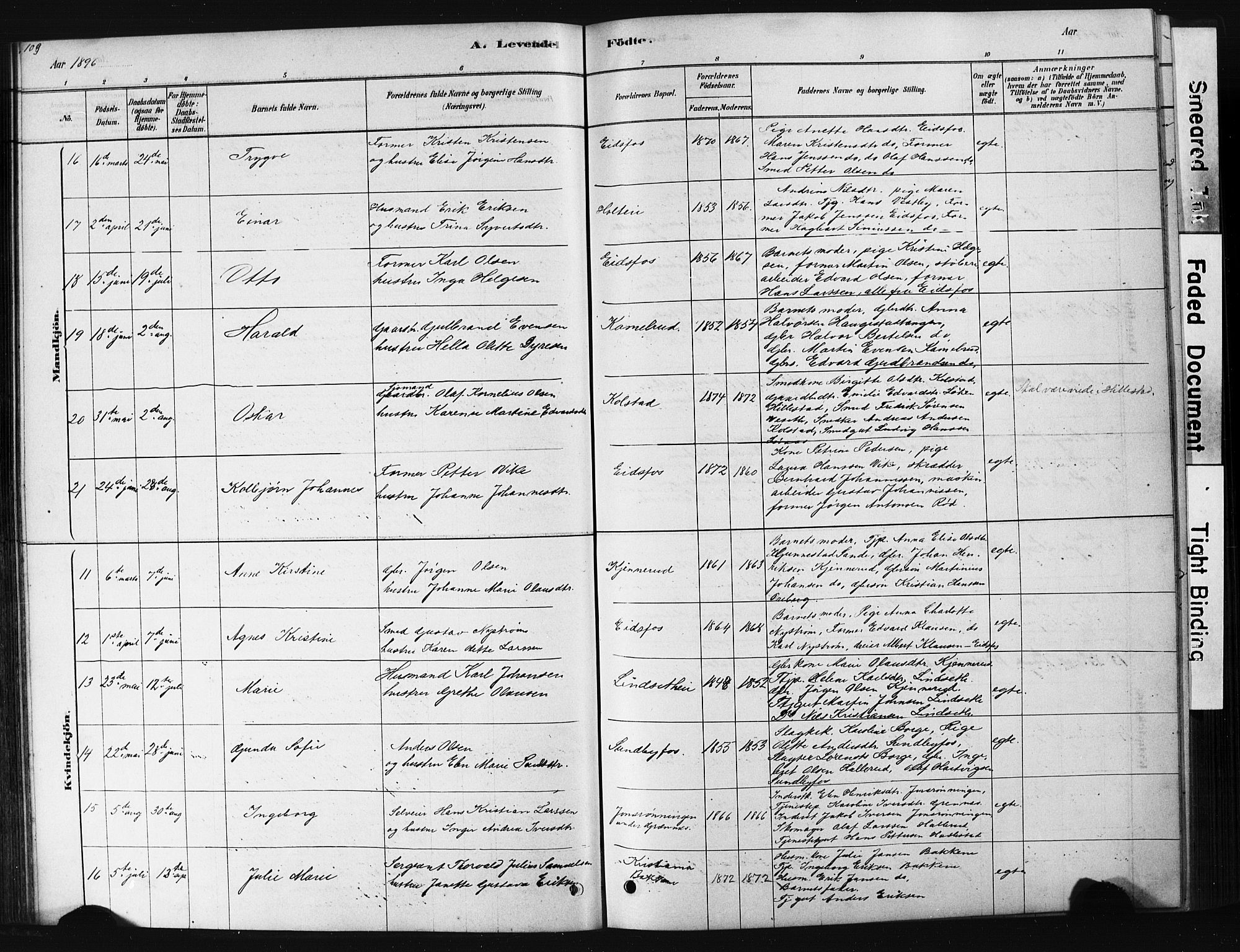 Hof kirkebøker, AV/SAKO-A-64/G/Ga/L0004: Parish register (copy) no. I 4, 1878-1930, p. 109