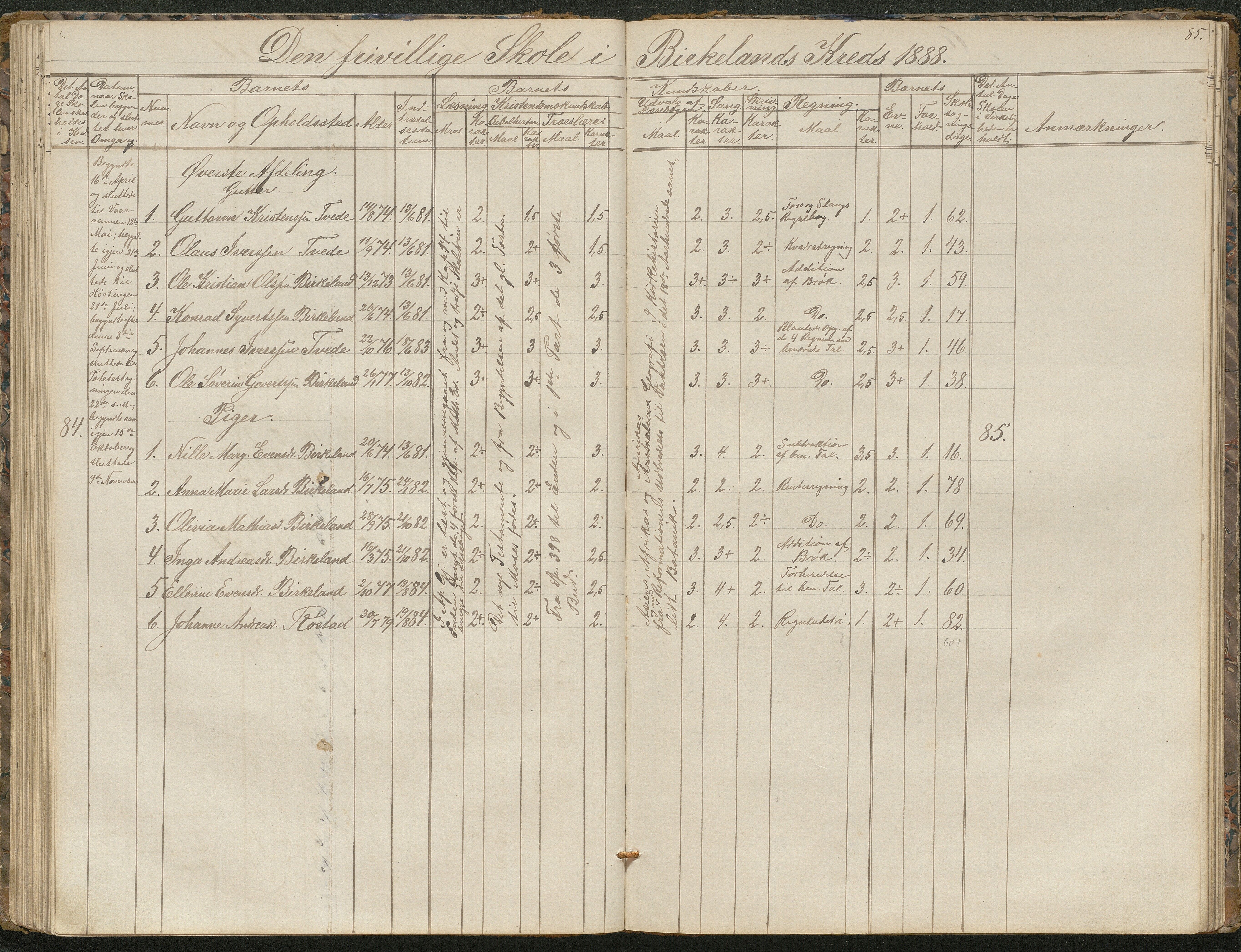 Birkenes kommune, Birkenes krets/Birkeland folkeskole frem til 1991, AAKS/KA0928-550a_91/F02/L0001: Skoleprotokoll, 1862-1896, p. 85