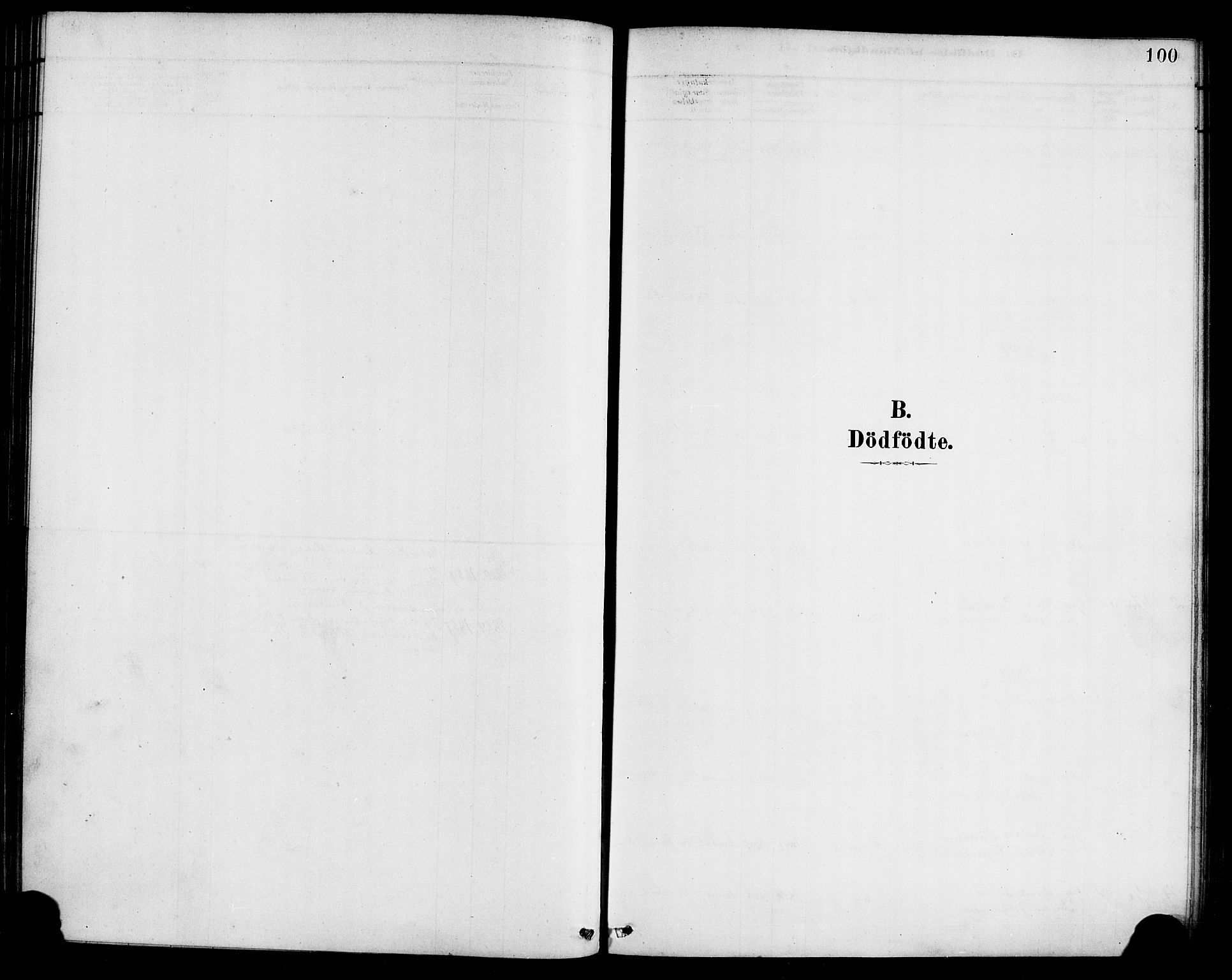 Førde sokneprestembete, SAB/A-79901/H/Haa/Haab/L0001: Parish register (official) no. B 1, 1880-1898, p. 100