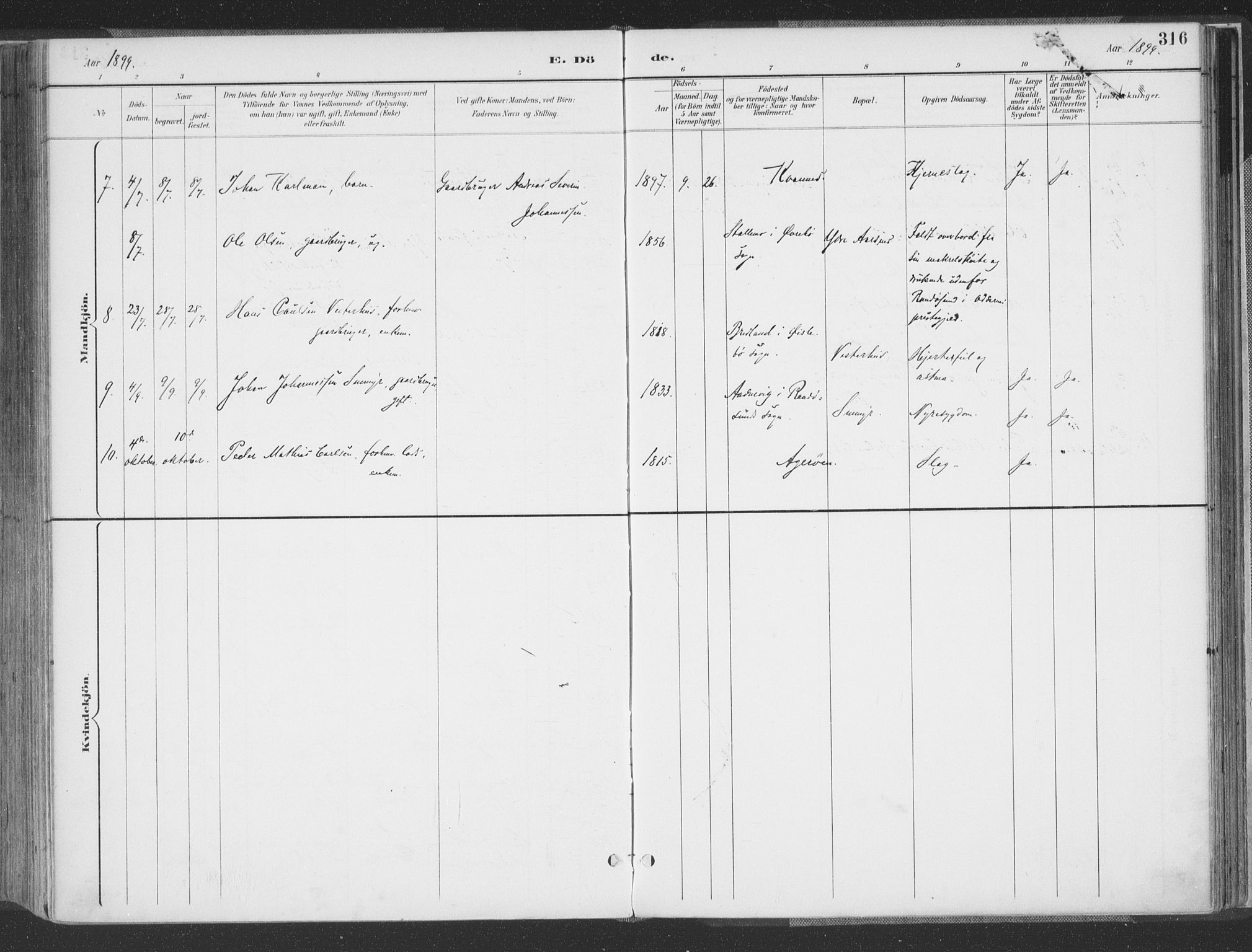 Høvåg sokneprestkontor, AV/SAK-1111-0025/F/Fa/L0006: Parish register (official) no. A 6, 1894-1923, p. 316