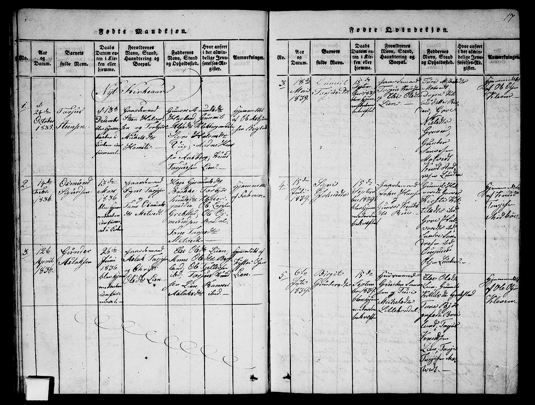 Fyresdal kirkebøker, AV/SAKO-A-263/G/Ga/L0002: Parish register (copy) no. I 2, 1815-1857, p. 17