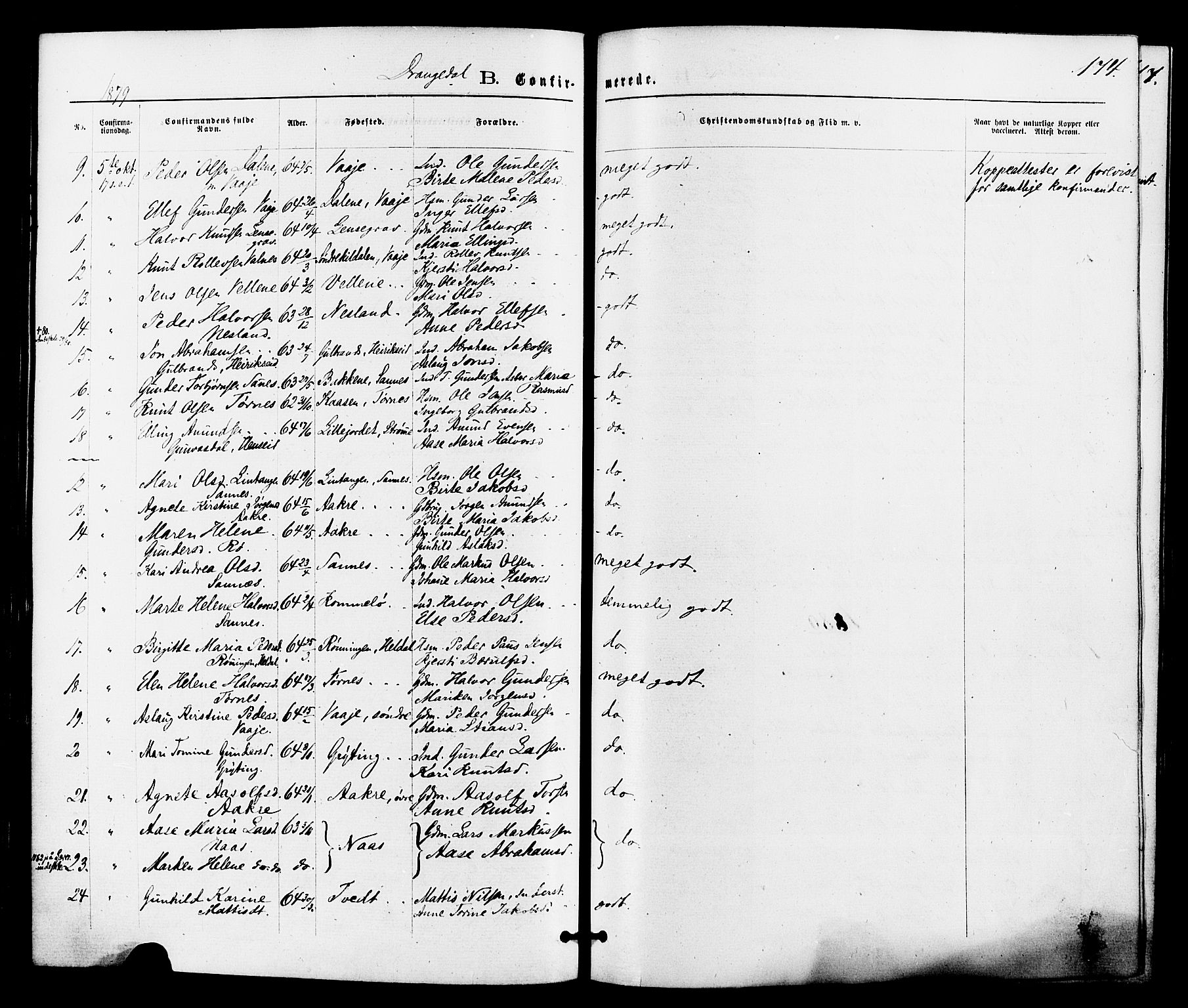 Drangedal kirkebøker, SAKO/A-258/F/Fa/L0009: Parish register (official) no. 9 /1, 1872-1884, p. 174