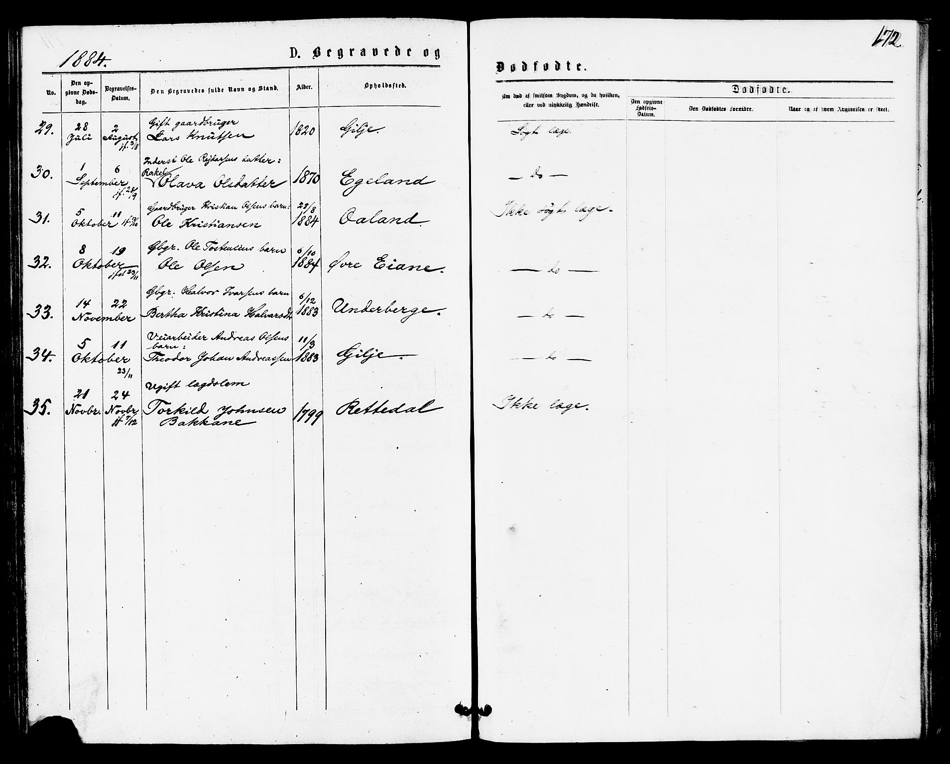 Høgsfjord sokneprestkontor, AV/SAST-A-101624/H/Ha/Haa/L0004: Parish register (official) no. A 4, 1876-1884, p. 172