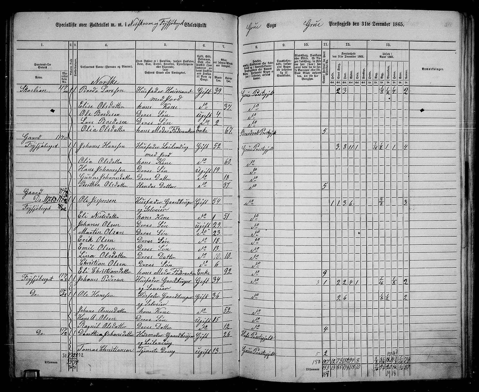 RA, 1865 census for Grue, 1865, p. 186