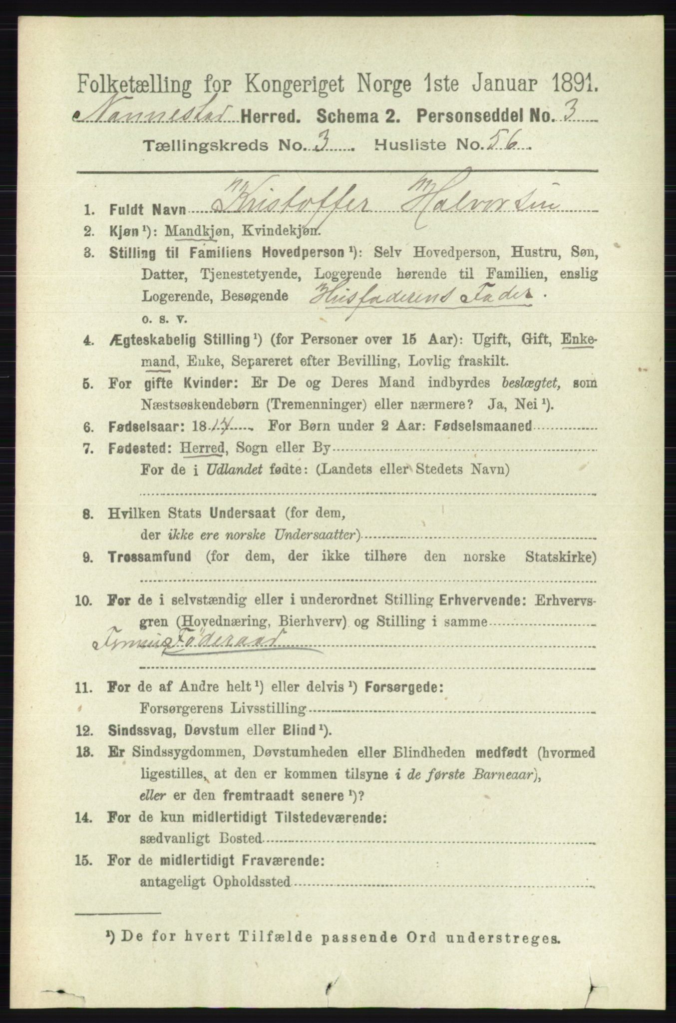 RA, 1891 census for 0238 Nannestad, 1891, p. 1794