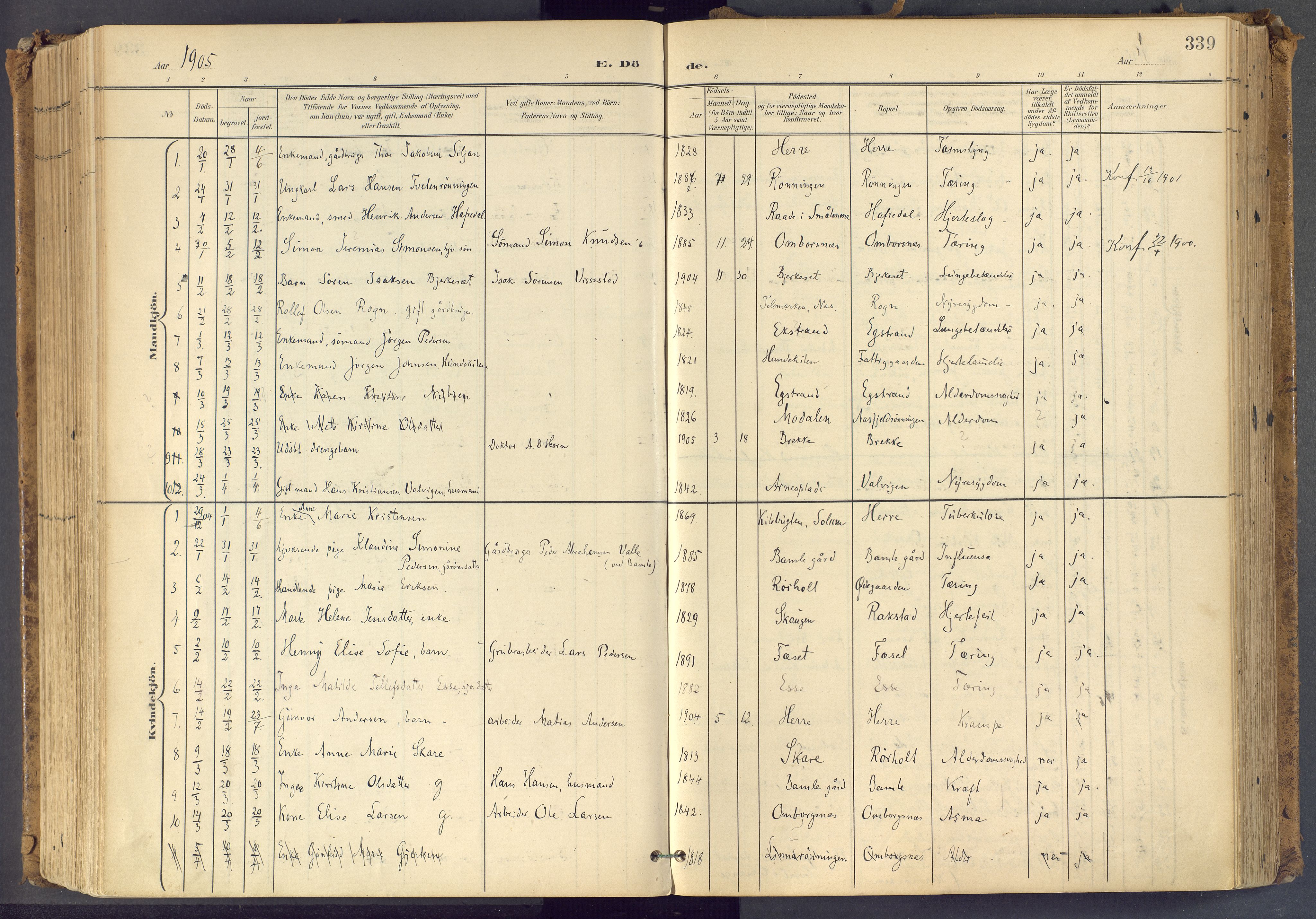 Bamble kirkebøker, SAKO/A-253/F/Fa/L0009: Parish register (official) no. I 9, 1901-1917, p. 339
