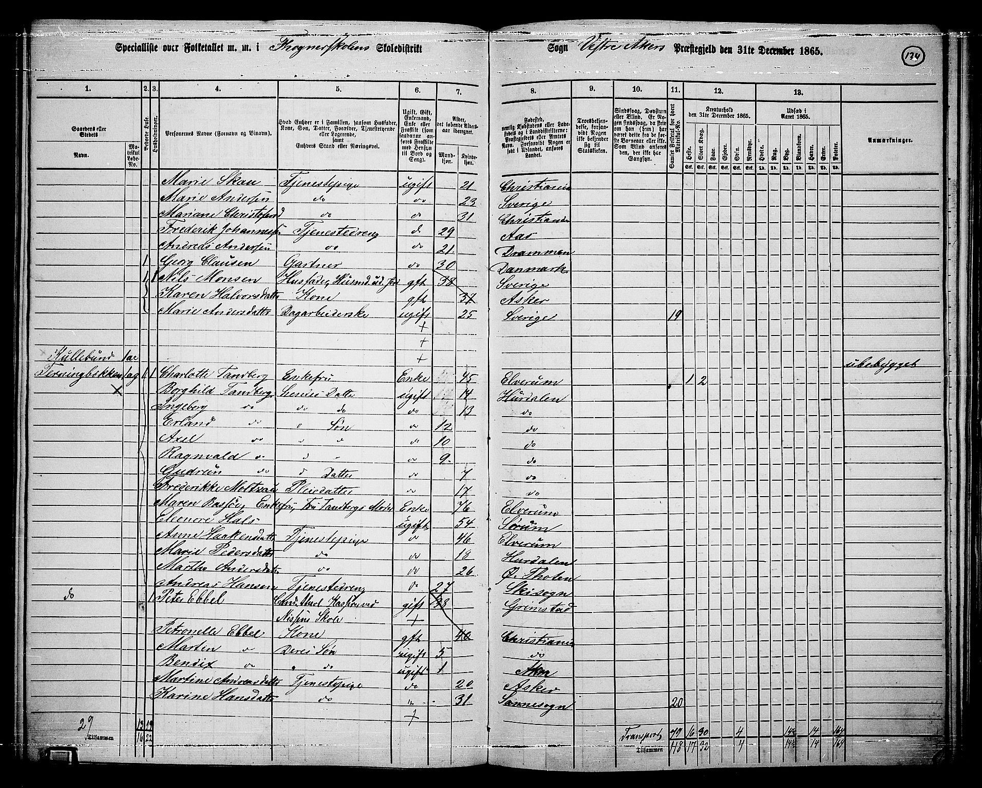 RA, 1865 census for Vestre Aker, 1865, p. 298