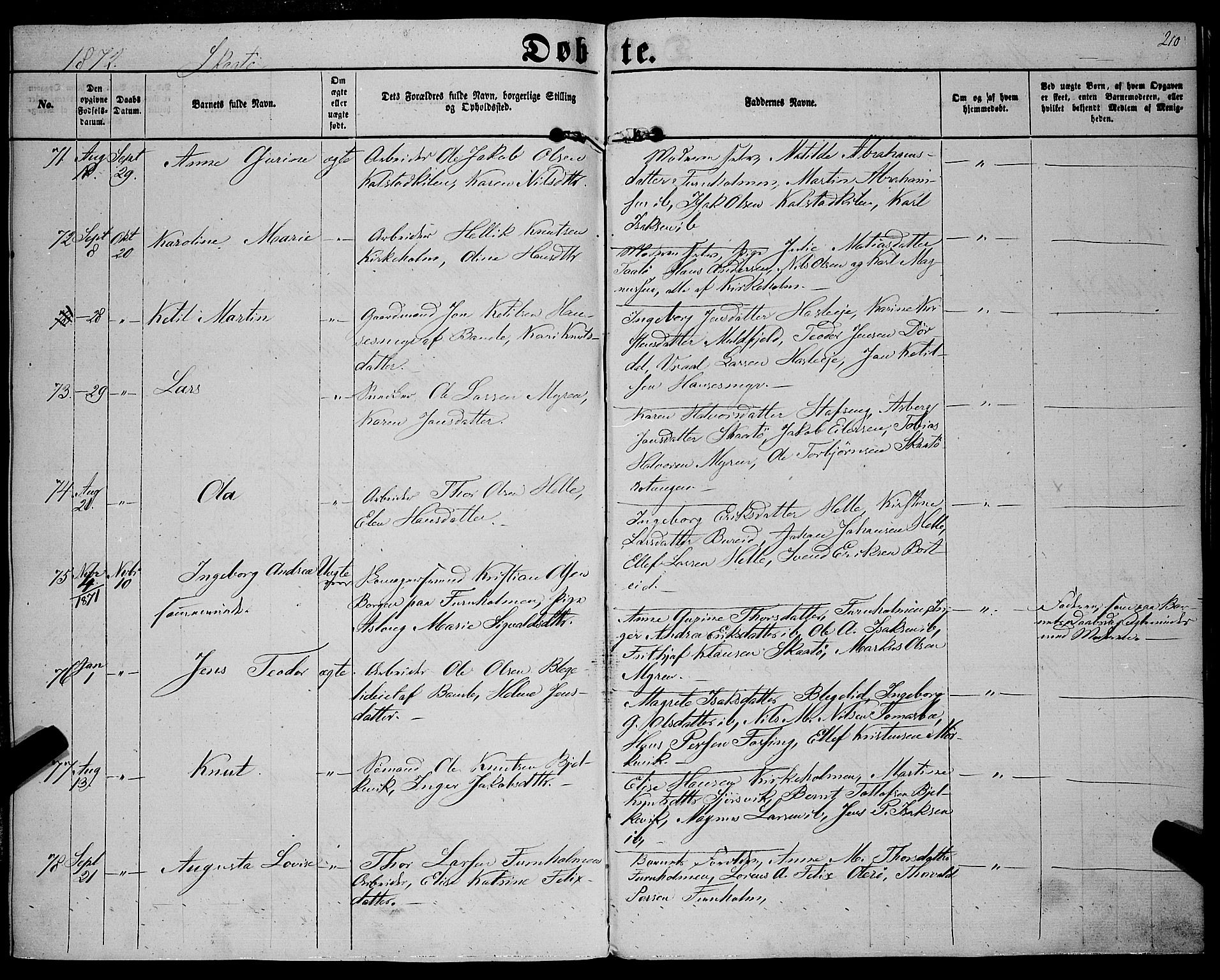 Sannidal kirkebøker, AV/SAKO-A-296/F/Fa/L0011: Parish register (official) no. 11, 1863-1873, p. 210