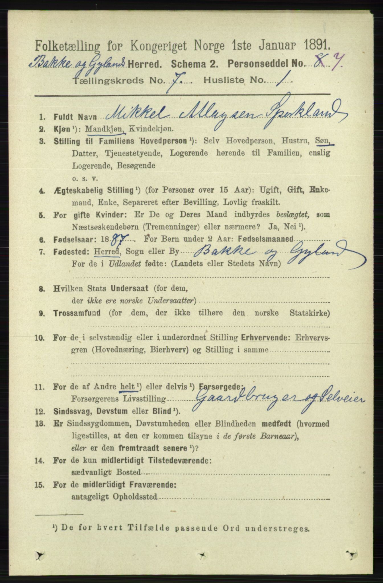 RA, 1891 census for 1045 Bakke, 1891, p. 1311