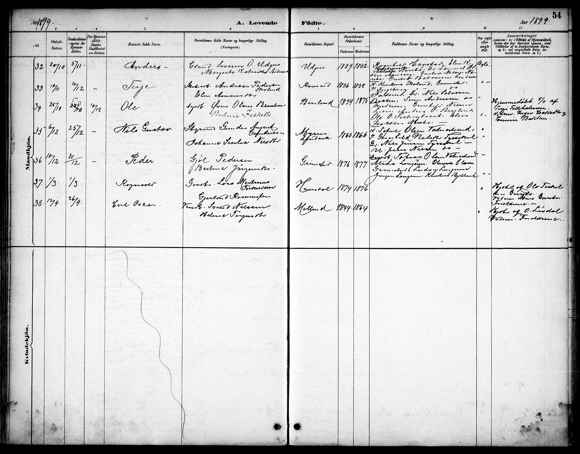 Hommedal sokneprestkontor, SAK/1111-0023/F/Fb/Fbb/L0007: Parish register (copy) no. B 7, 1885-1904, p. 54