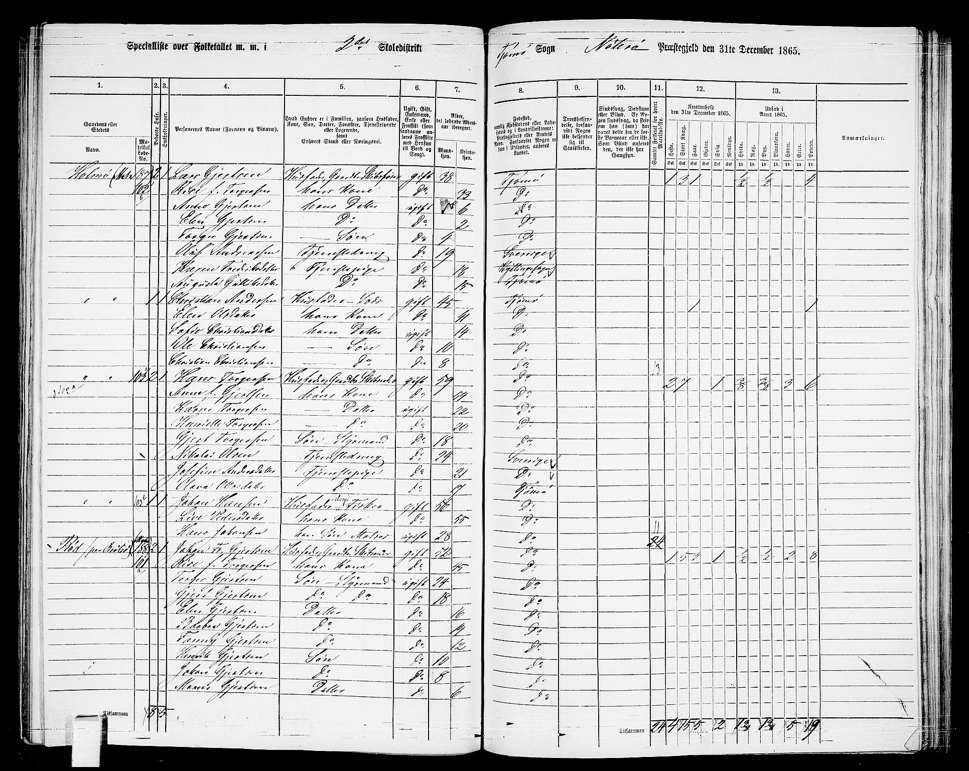 RA, 1865 census for Nøtterøy, 1865, p. 254