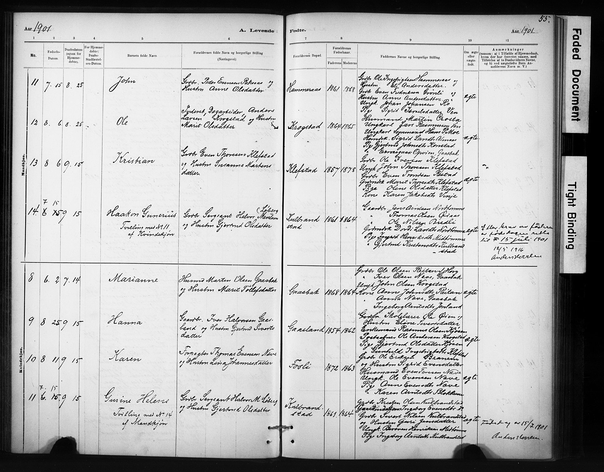 Ministerialprotokoller, klokkerbøker og fødselsregistre - Sør-Trøndelag, SAT/A-1456/694/L1127: Parish register (official) no. 694A01, 1887-1905, p. 55