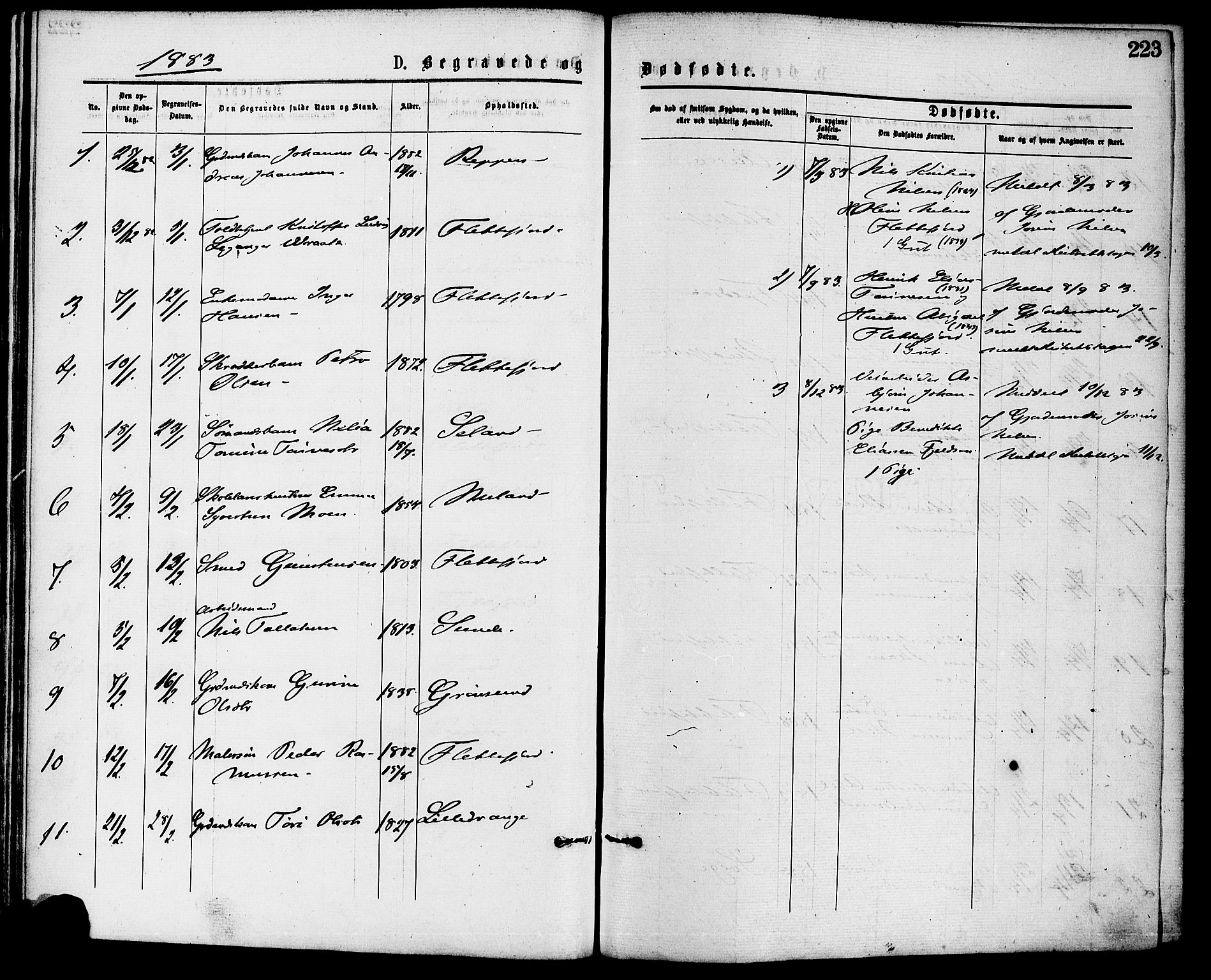 Flekkefjord sokneprestkontor, AV/SAK-1111-0012/F/Fa/Fac/L0007: Parish register (official) no. A 7, 1875-1885, p. 223