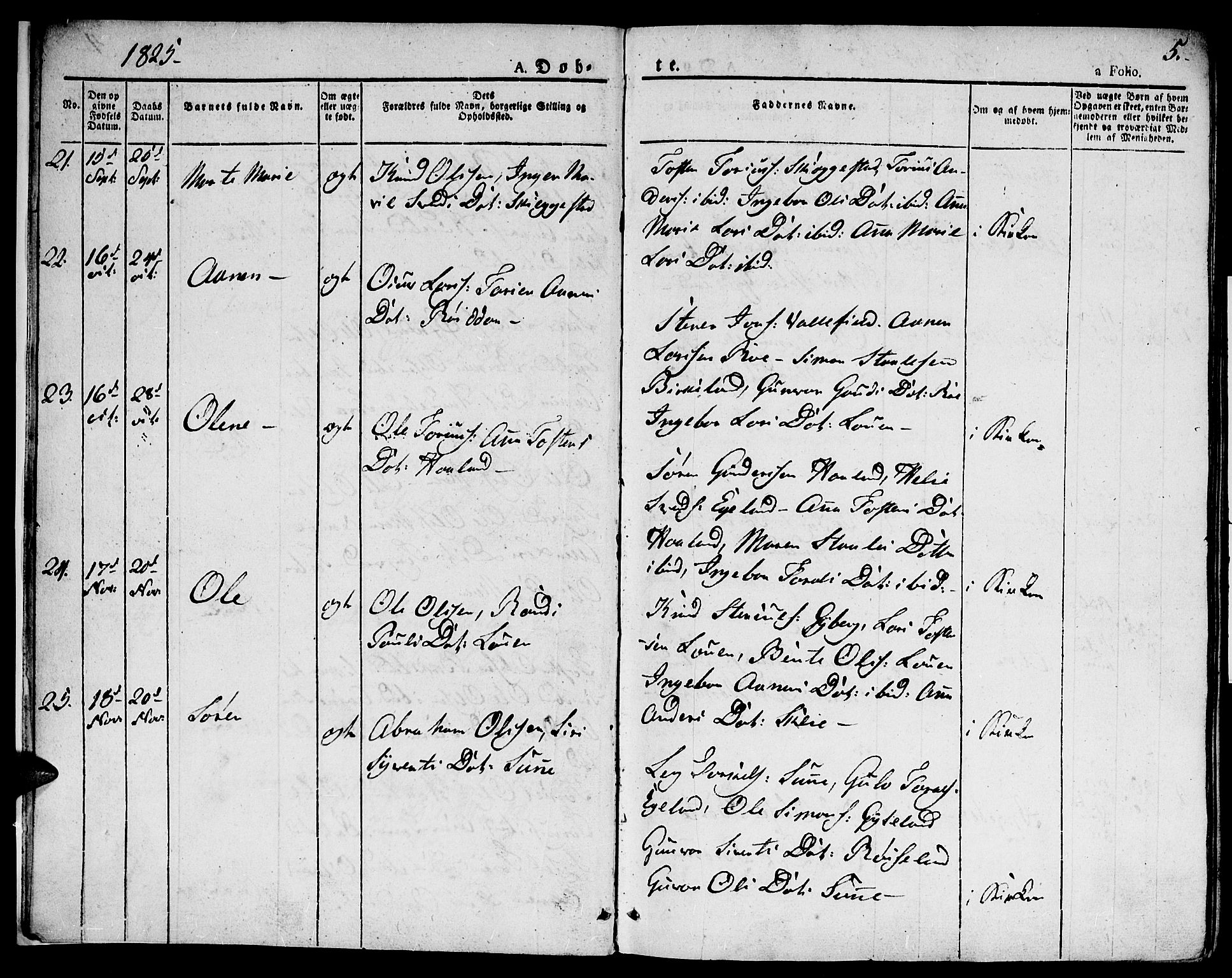 Hægebostad sokneprestkontor, SAK/1111-0024/F/Fa/Faa/L0003: Parish register (official) no. A 3 /1, 1825-1834, p. 5