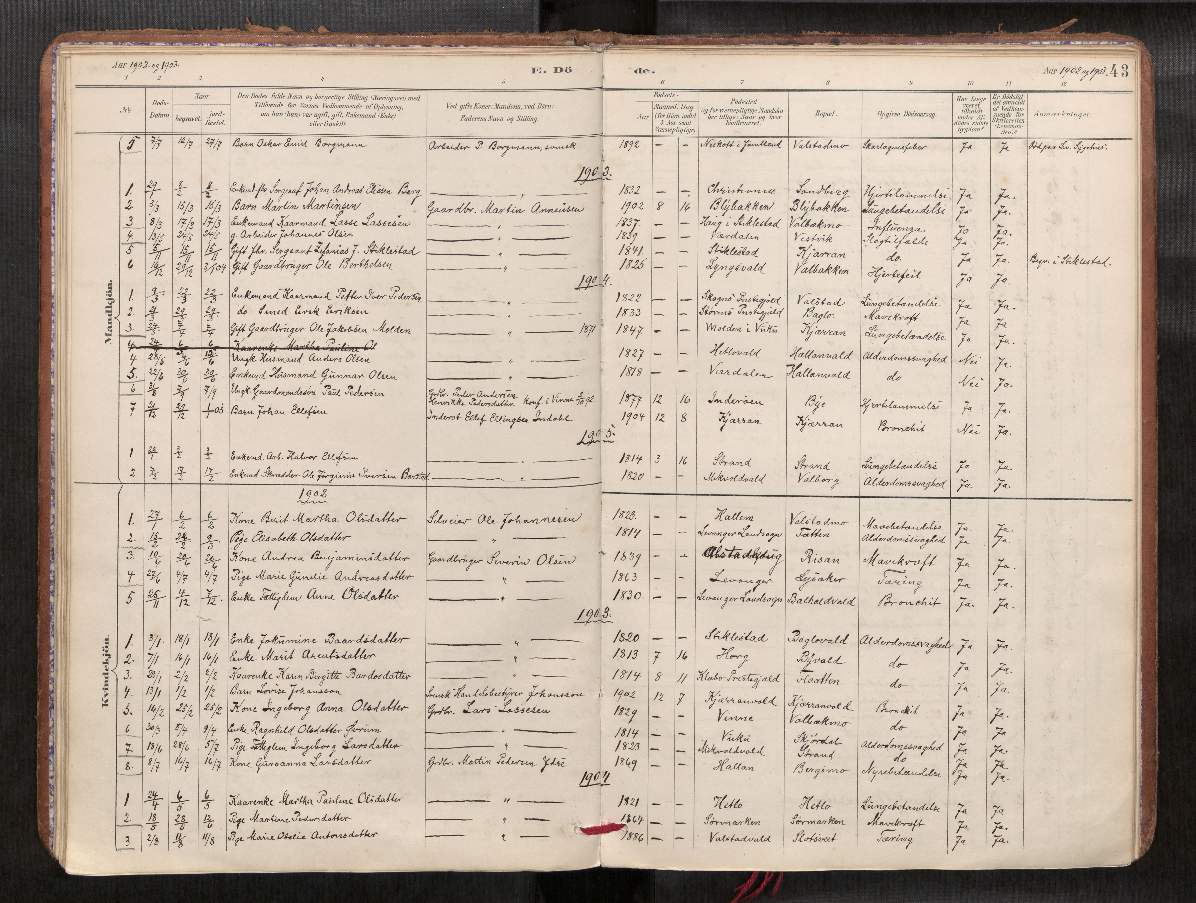 Verdal sokneprestkontor, SAT/A-1156/2/H/Haa/L0002: Parish register (official) no. 2, 1891-1907, p. 43