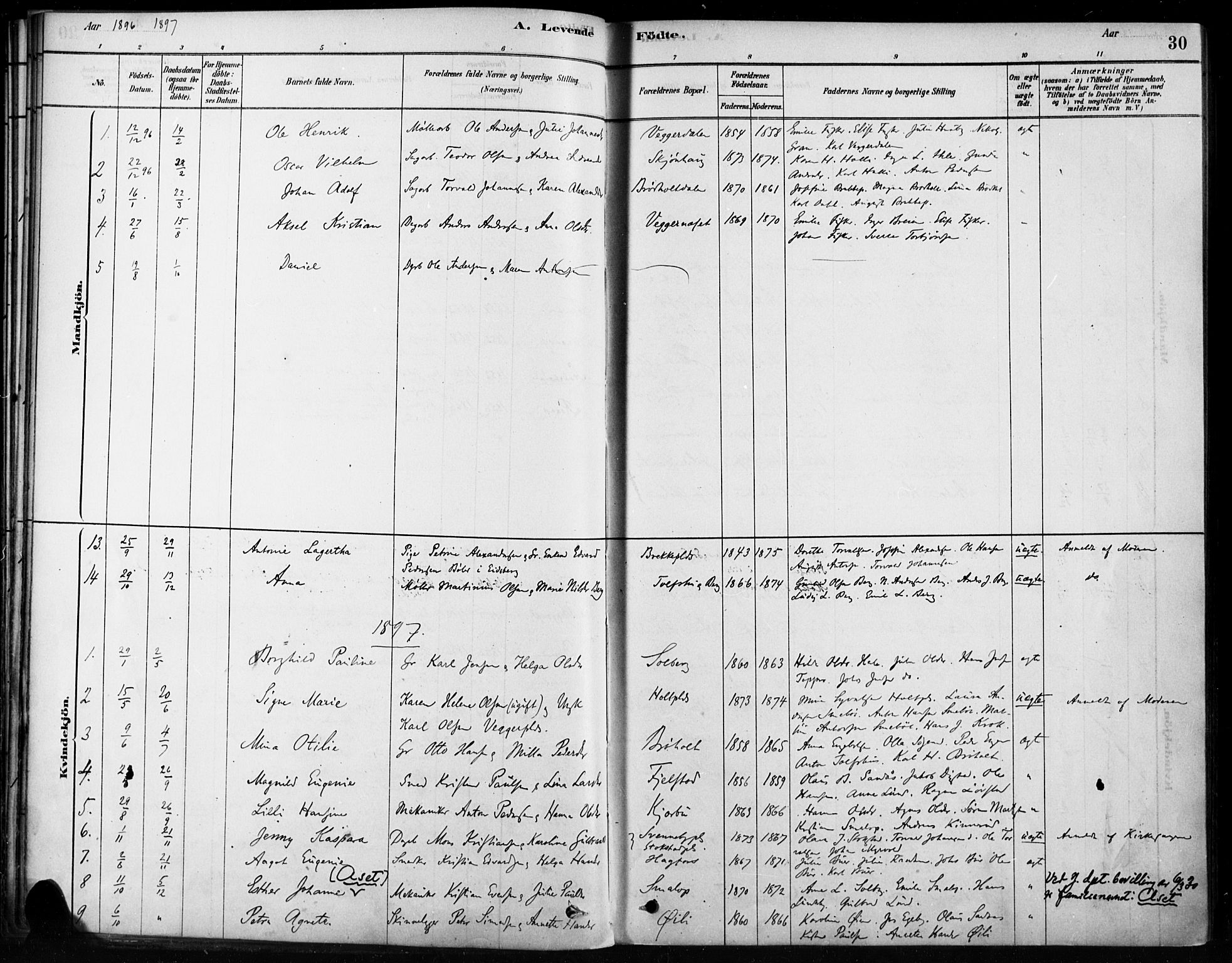 Hobøl prestekontor Kirkebøker, AV/SAO-A-2002/F/Fb/L0001: Parish register (official) no. II 1, 1878-1904, p. 30