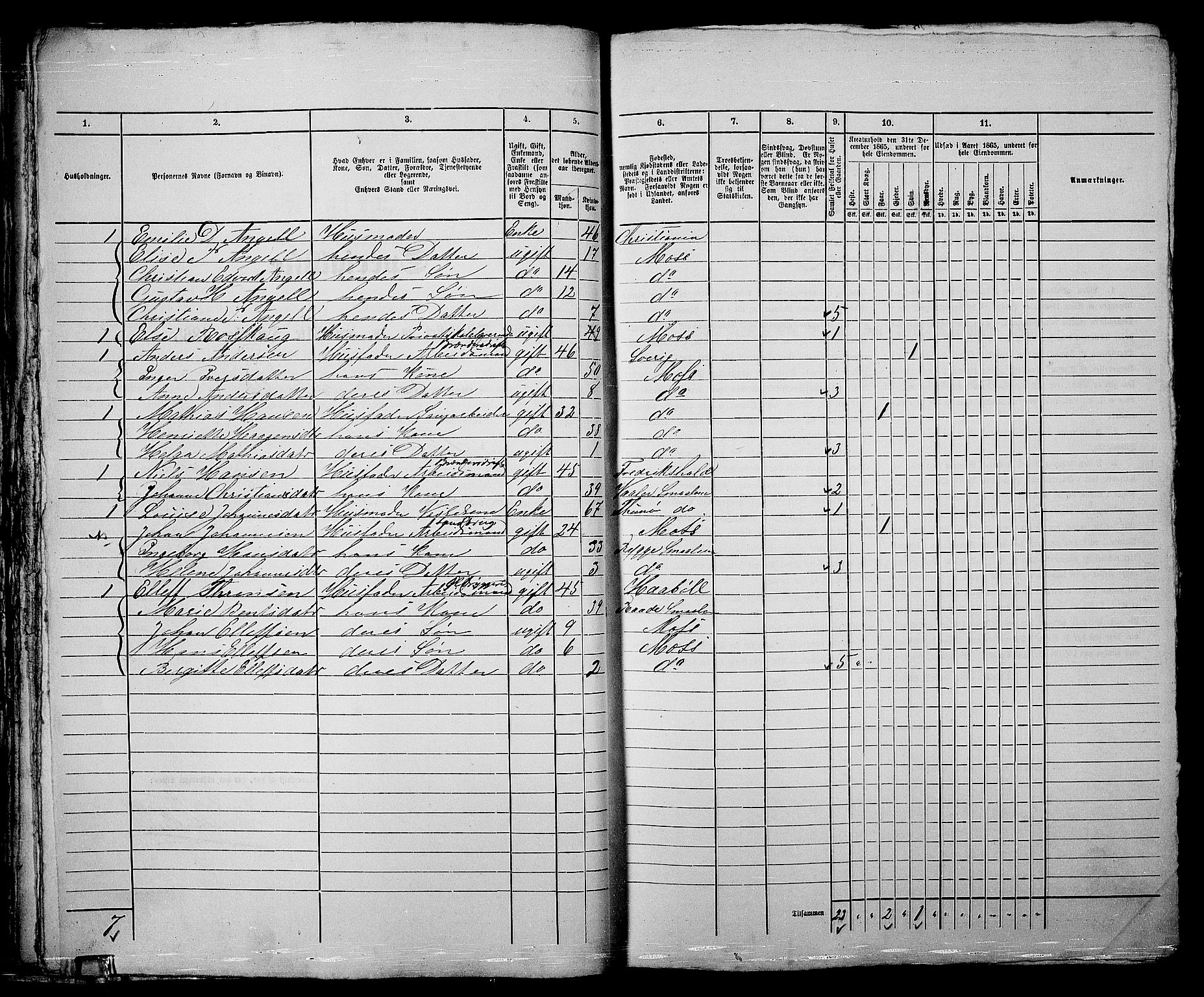 RA, 1865 census for Moss/Moss, 1865, p. 51