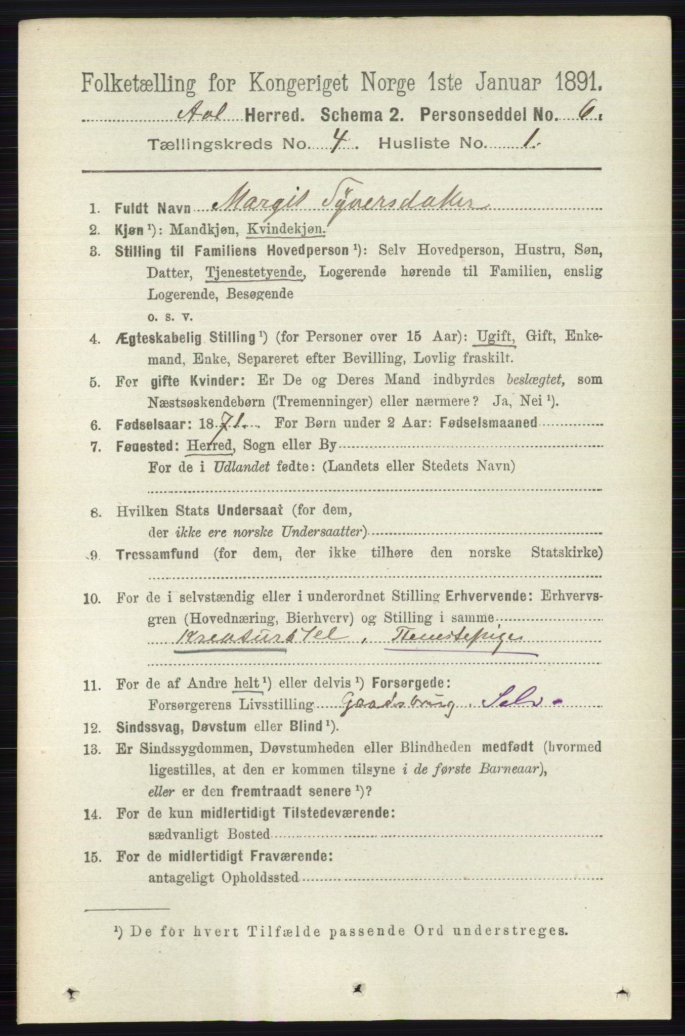 RA, 1891 census for 0619 Ål, 1891, p. 1039