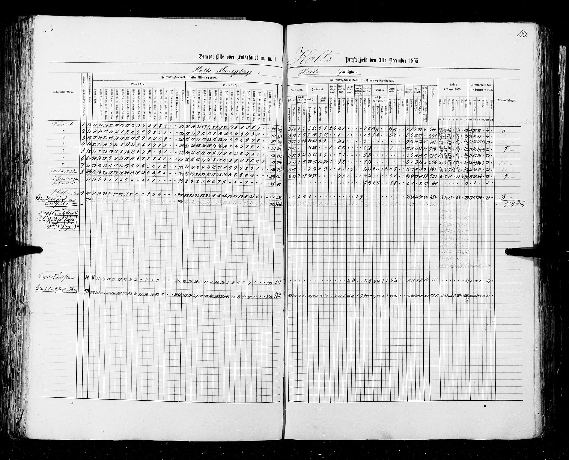 RA, Census 1855, vol. 3: Bratsberg amt, Nedenes amt og Lister og Mandal amt, 1855, p. 133