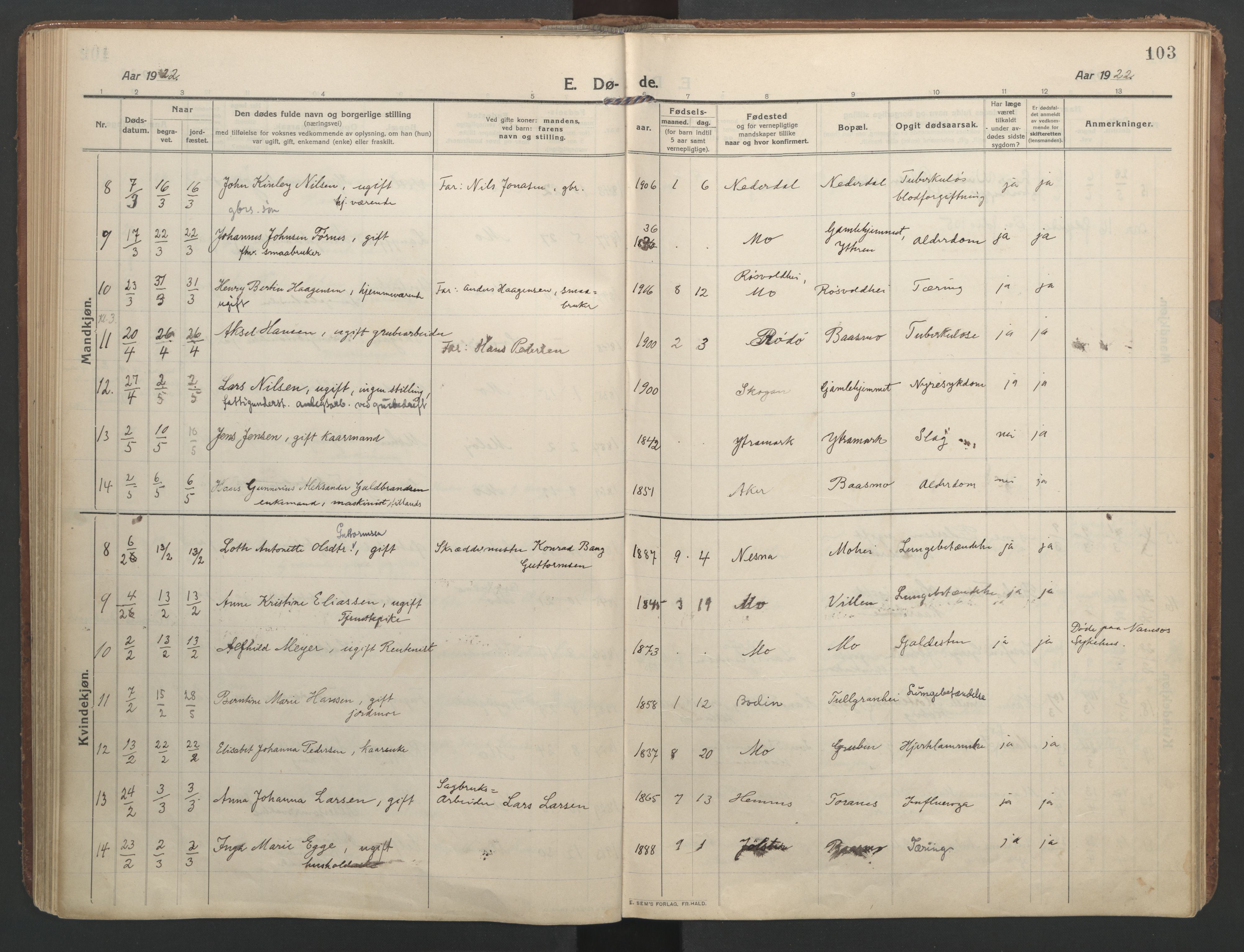 Ministerialprotokoller, klokkerbøker og fødselsregistre - Nordland, SAT/A-1459/827/L0405: Parish register (official) no. 827A17, 1912-1925, p. 103