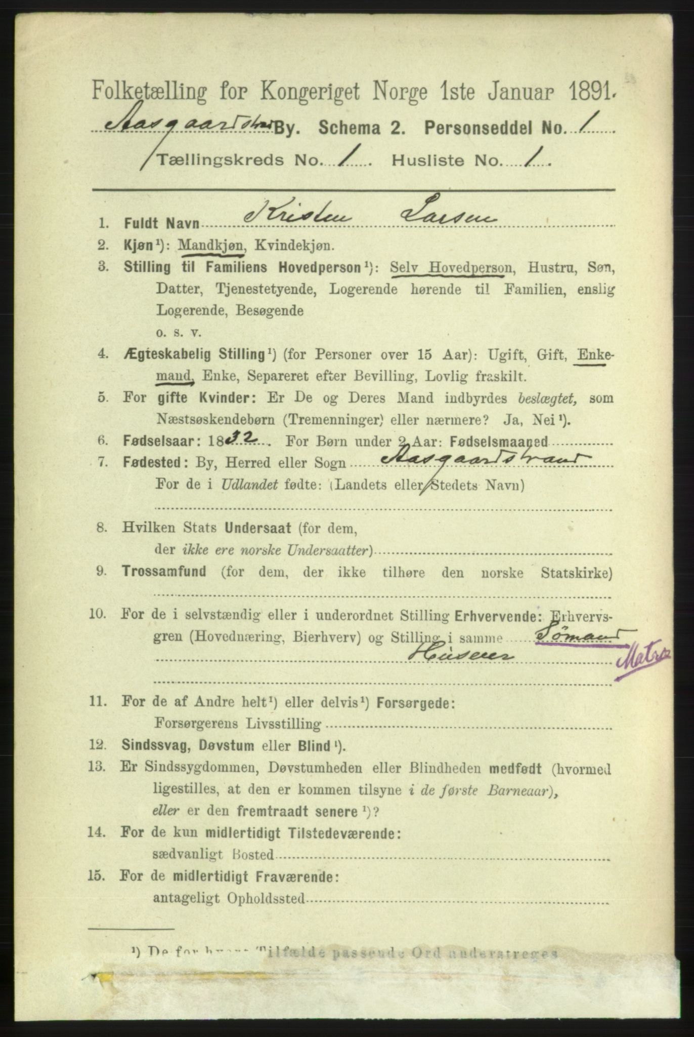 RA, 1891 census for 0704 Åsgårdstrand, 1891, p. 206