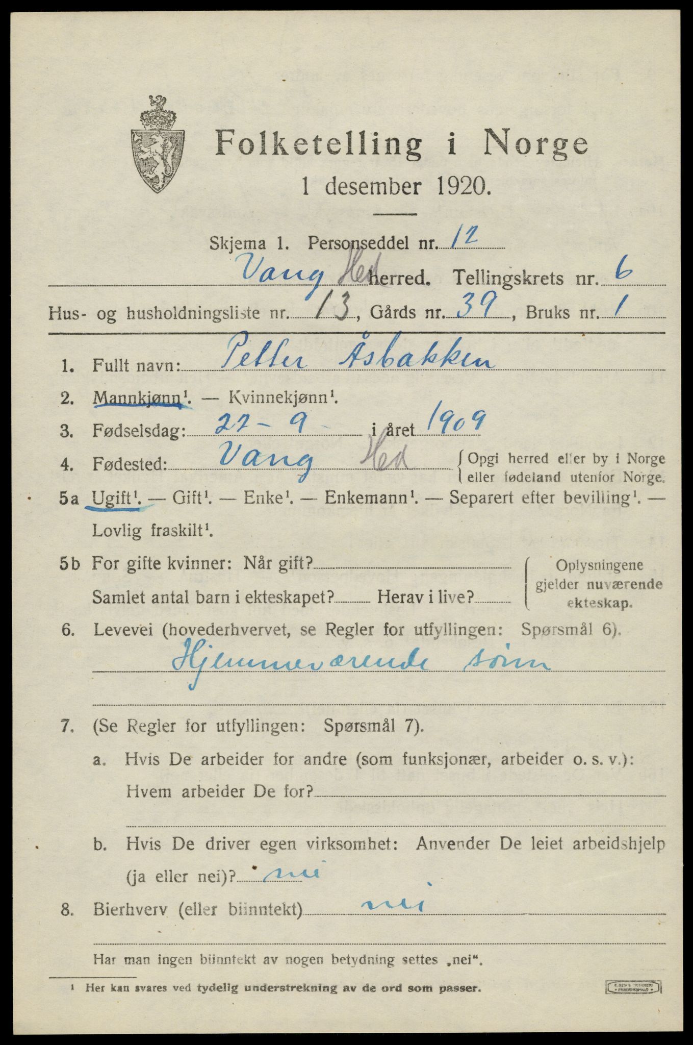 SAH, 1920 census for Vang (Hedmark), 1920, p. 15367