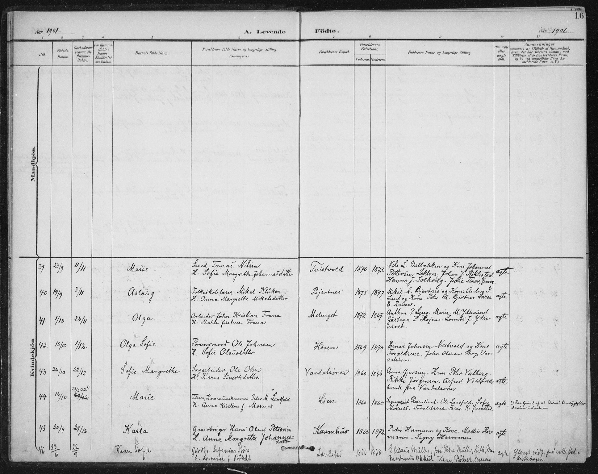 Ministerialprotokoller, klokkerbøker og fødselsregistre - Nord-Trøndelag, SAT/A-1458/723/L0246: Parish register (official) no. 723A15, 1900-1917, p. 16