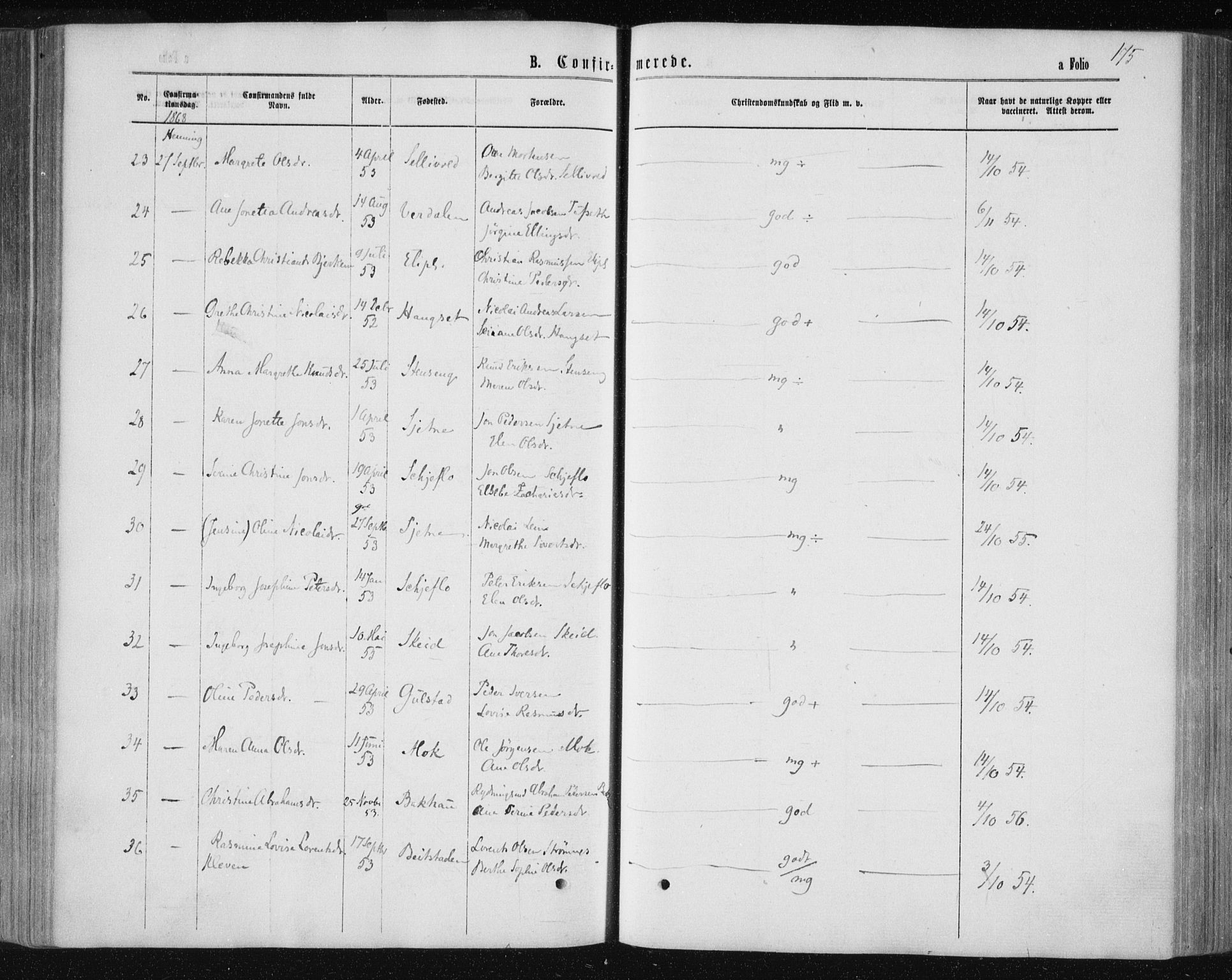 Ministerialprotokoller, klokkerbøker og fødselsregistre - Nord-Trøndelag, AV/SAT-A-1458/735/L0345: Parish register (official) no. 735A08 /1, 1863-1872, p. 175