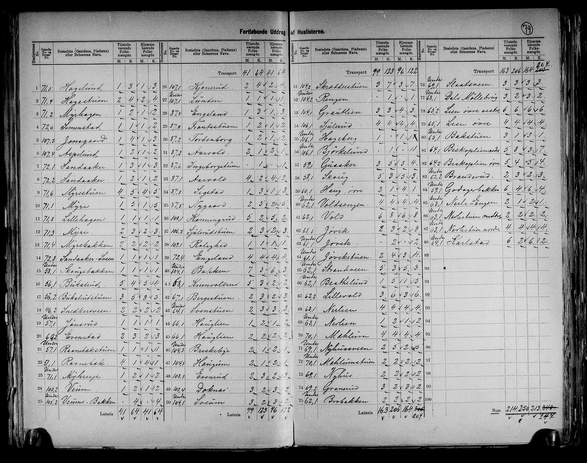 RA, 1891 census for 0411 Nes, 1891, p. 15