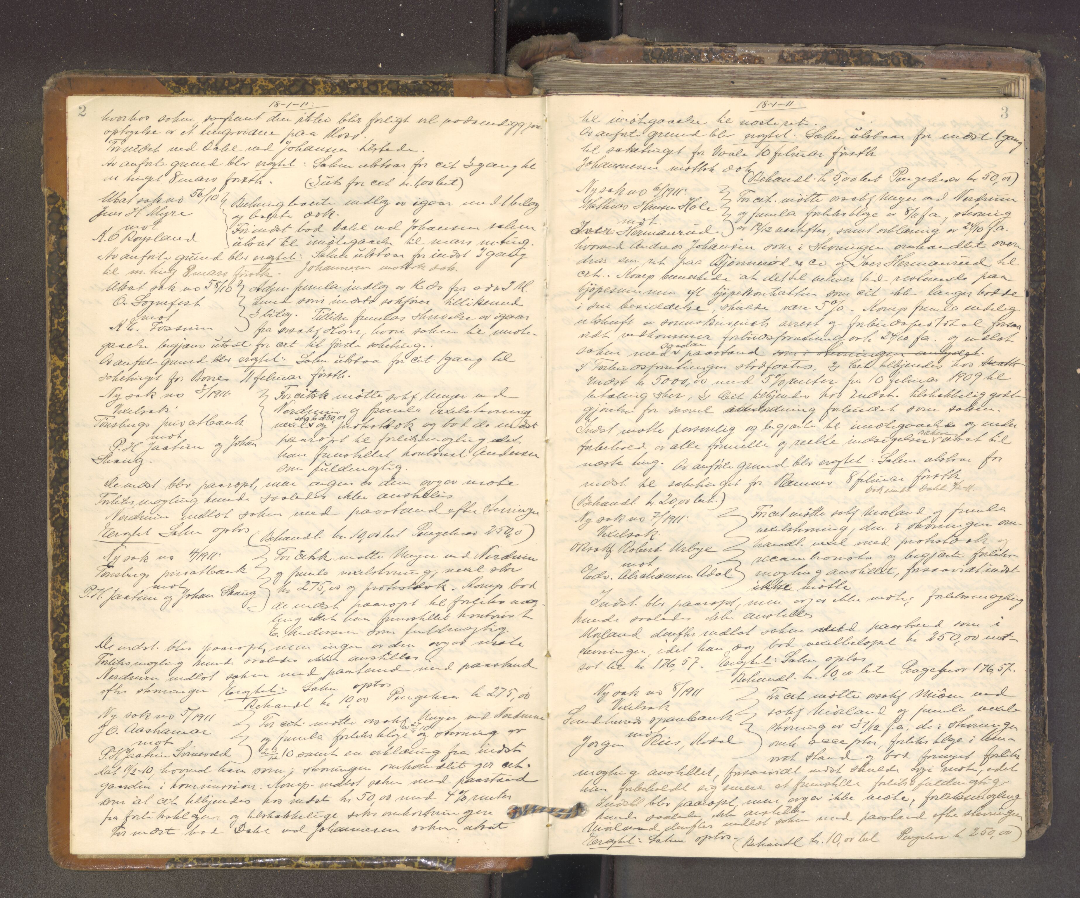 Mellom Jarlsberg sorenskriveri, AV/SAKO-A-132/F/Fa/Faa/L0015: Tingbok, 1911-1916, p. 2-3
