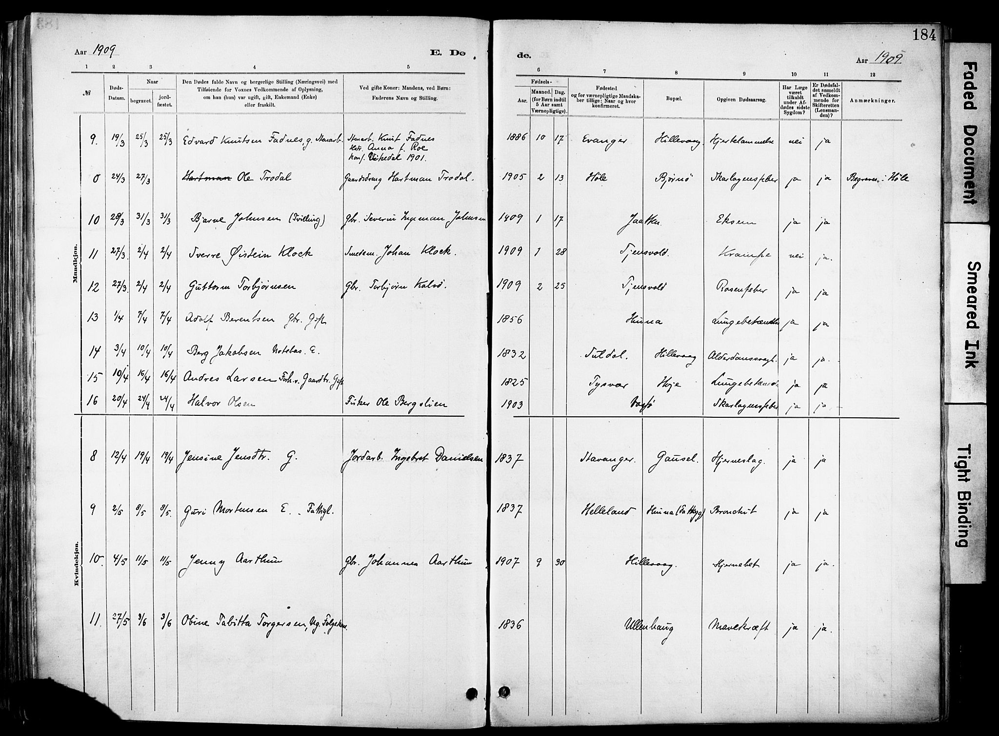 Hetland sokneprestkontor, SAST/A-101826/30/30BA/L0012: Parish register (official) no. A 12, 1882-1912, p. 184
