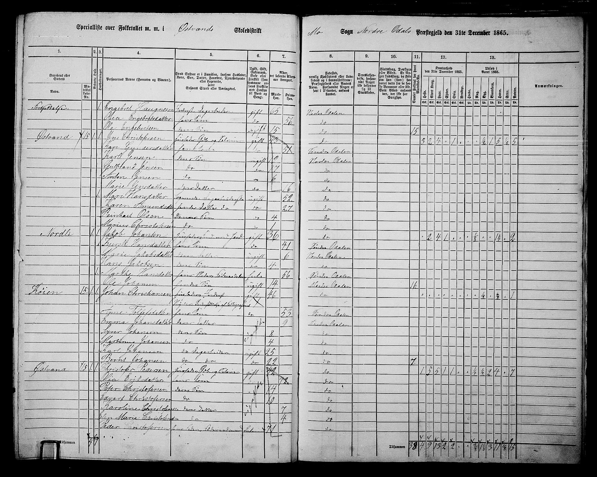 RA, 1865 census for Nord-Odal, 1865, p. 163