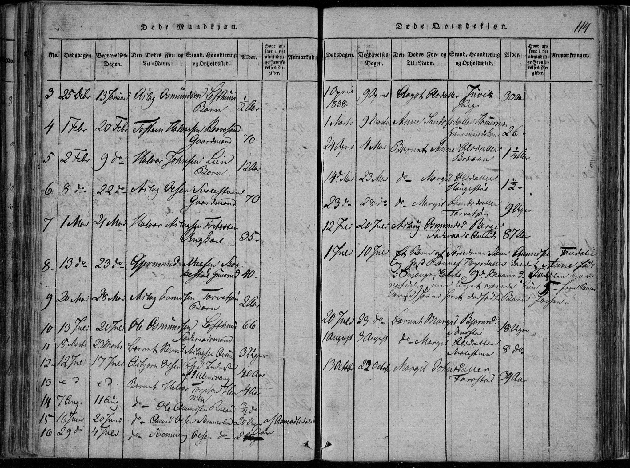 Rauland kirkebøker, SAKO/A-292/F/Fa/L0001: Parish register (official) no. 1, 1814-1859, p. 114