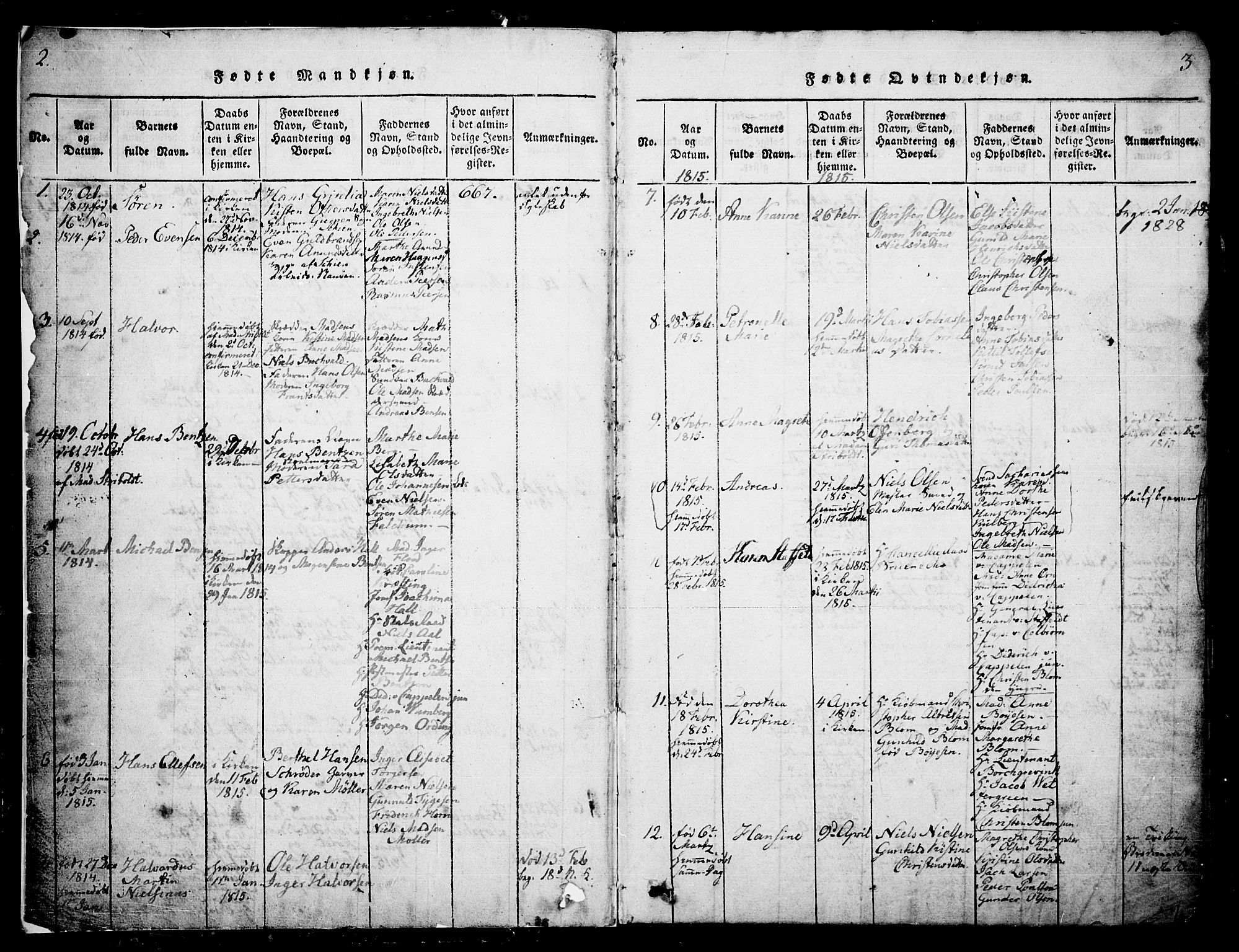 Skien kirkebøker, SAKO/A-302/G/Ga/L0002: Parish register (copy) no. 2, 1814-1842, p. 2-3