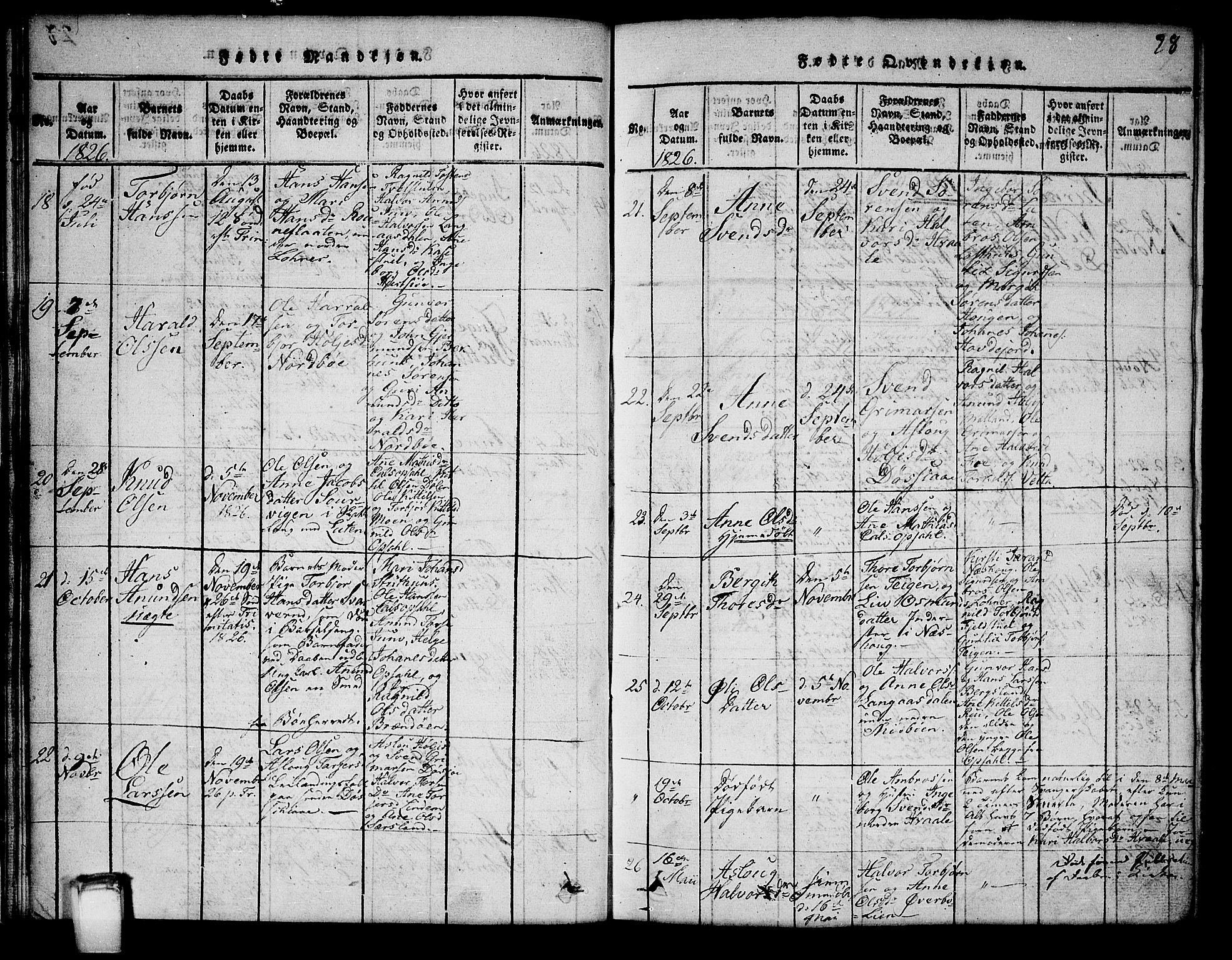 Hjartdal kirkebøker, SAKO/A-270/G/Ga/L0001: Parish register (copy) no. I 1, 1815-1842, p. 28