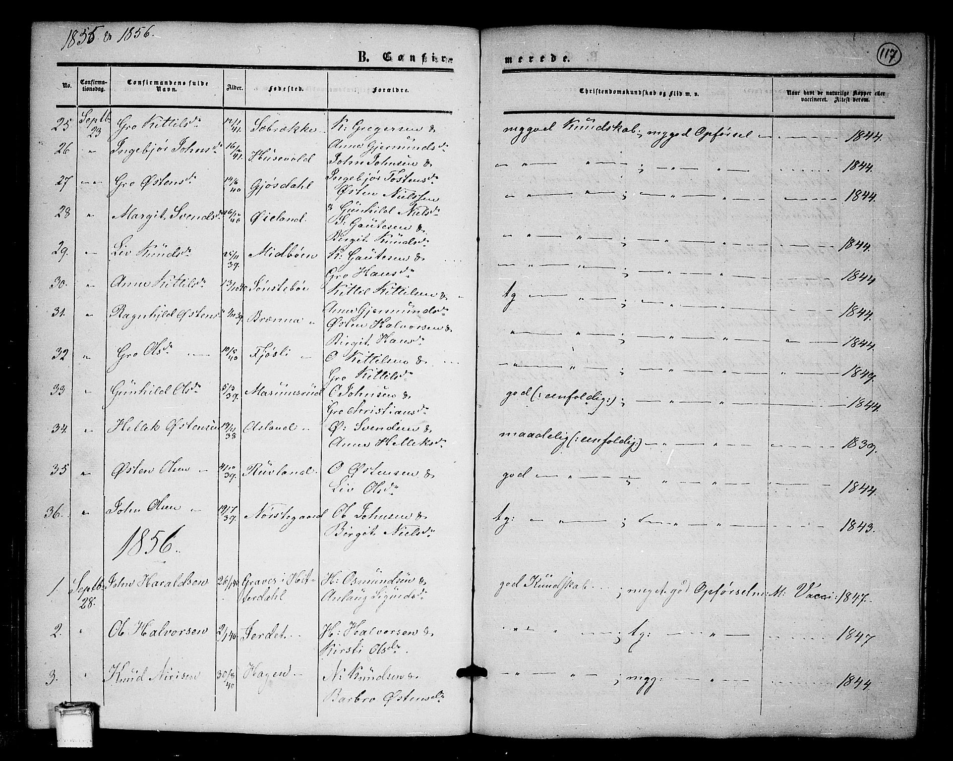 Tinn kirkebøker, SAKO/A-308/G/Ga/L0002: Parish register (copy) no. I 2, 1851-1883, p. 117