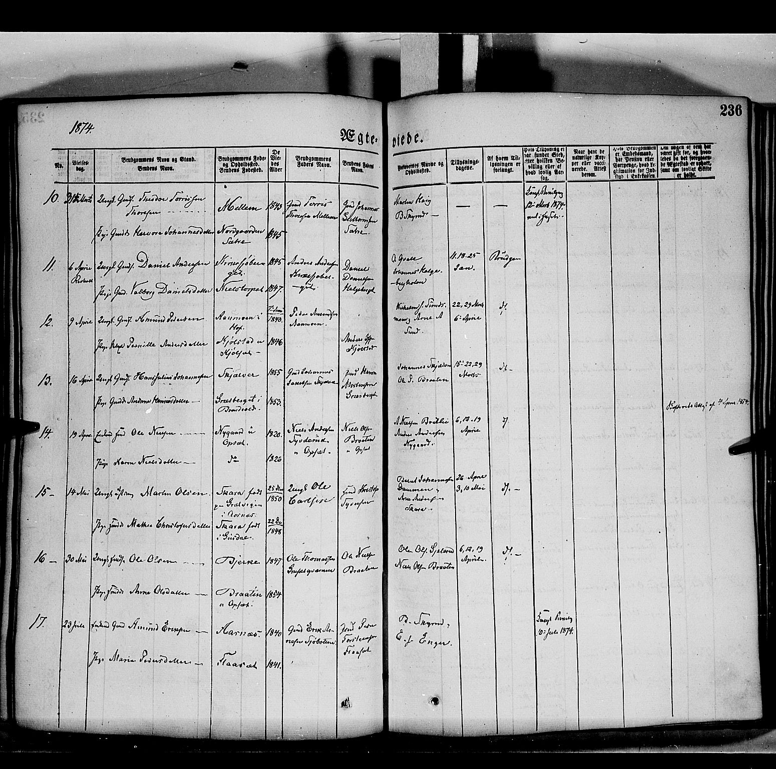 Grue prestekontor, SAH/PREST-036/H/Ha/Haa/L0011: Parish register (official) no. 11, 1873-1880, p. 236