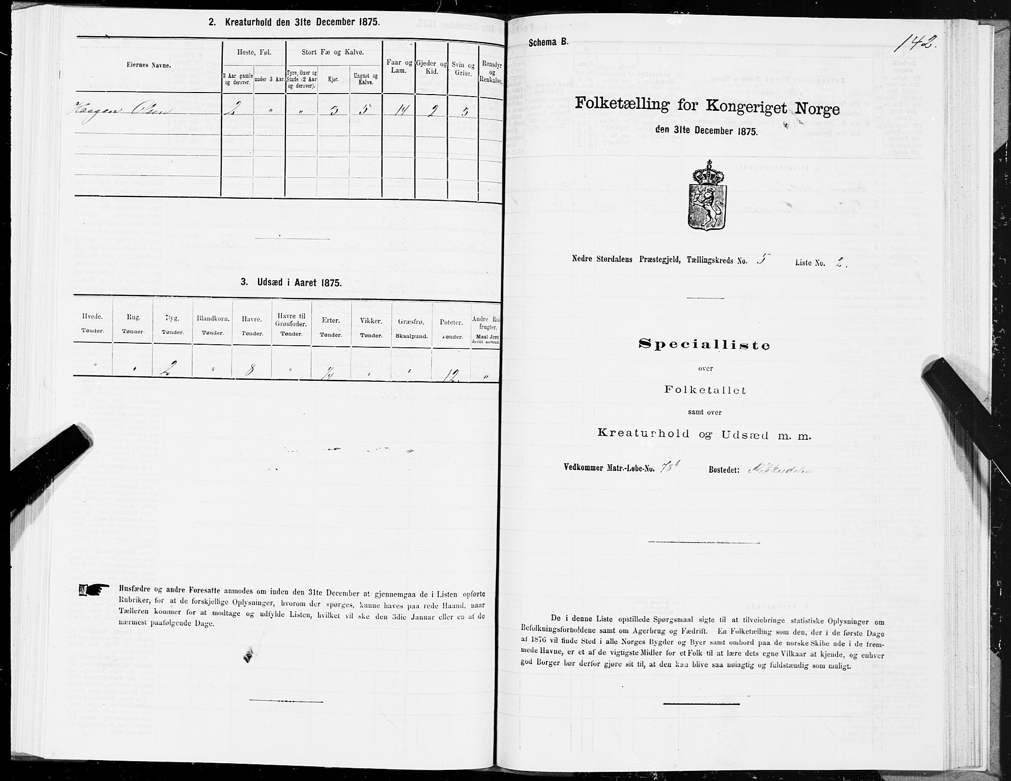 SAT, 1875 census for 1714P Nedre Stjørdal, 1875, p. 2142