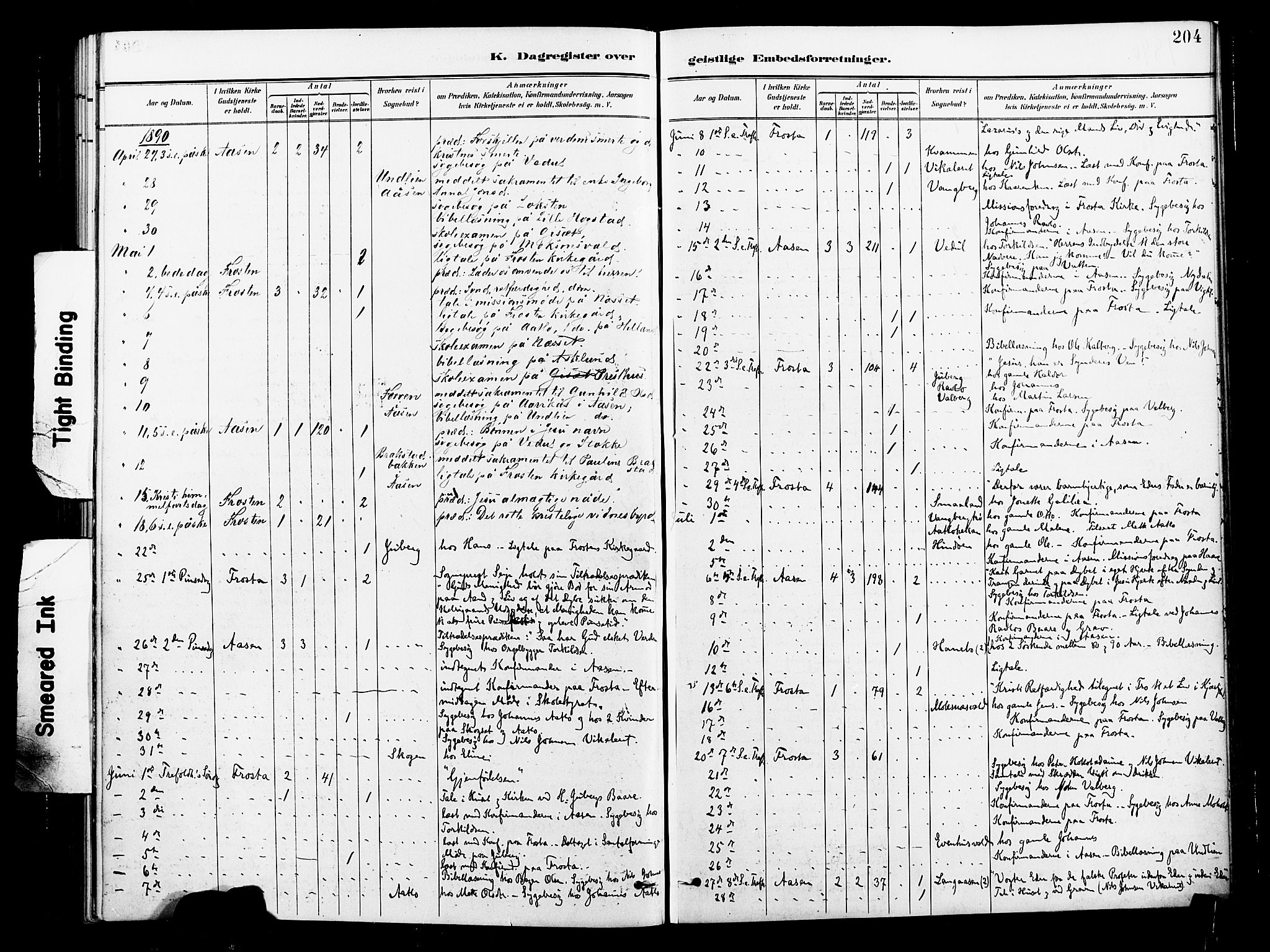 Ministerialprotokoller, klokkerbøker og fødselsregistre - Nord-Trøndelag, AV/SAT-A-1458/713/L0121: Parish register (official) no. 713A10, 1888-1898, p. 204