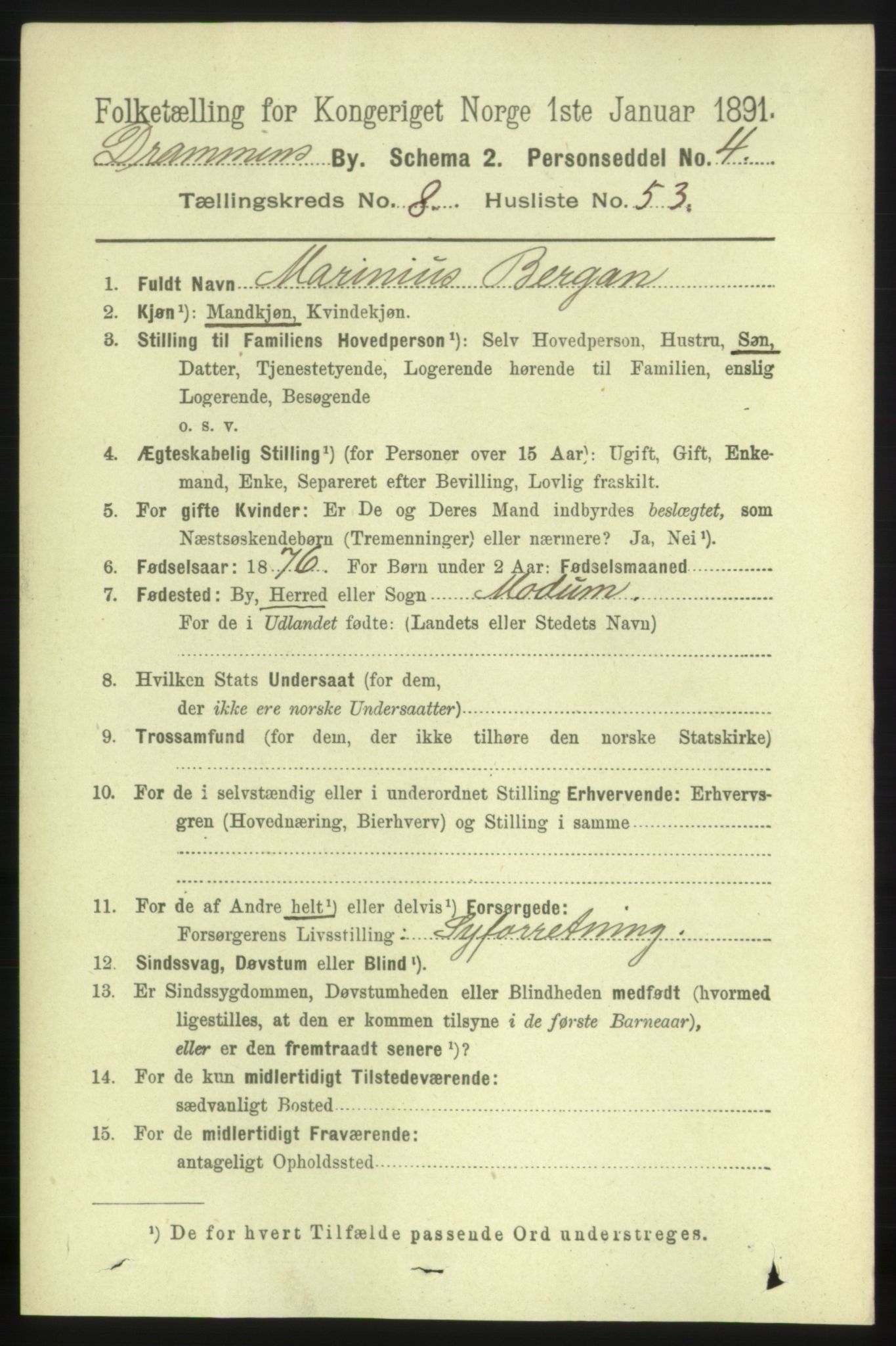 RA, 1891 census for 0602 Drammen, 1891, p. 7481