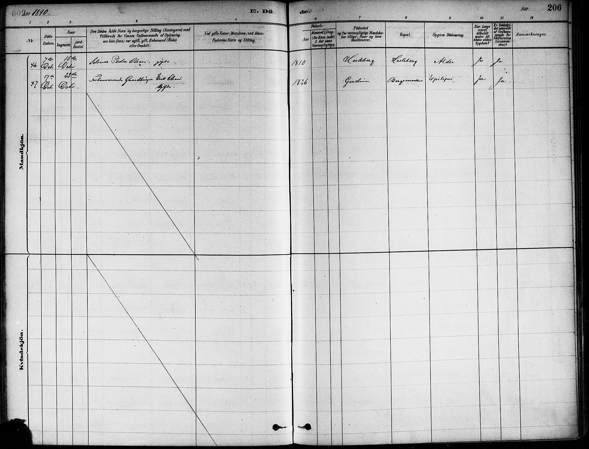 Asker prestekontor Kirkebøker, AV/SAO-A-10256a/F/Fa/L0013: Parish register (official) no. I 13, 1879-1896, p. 206