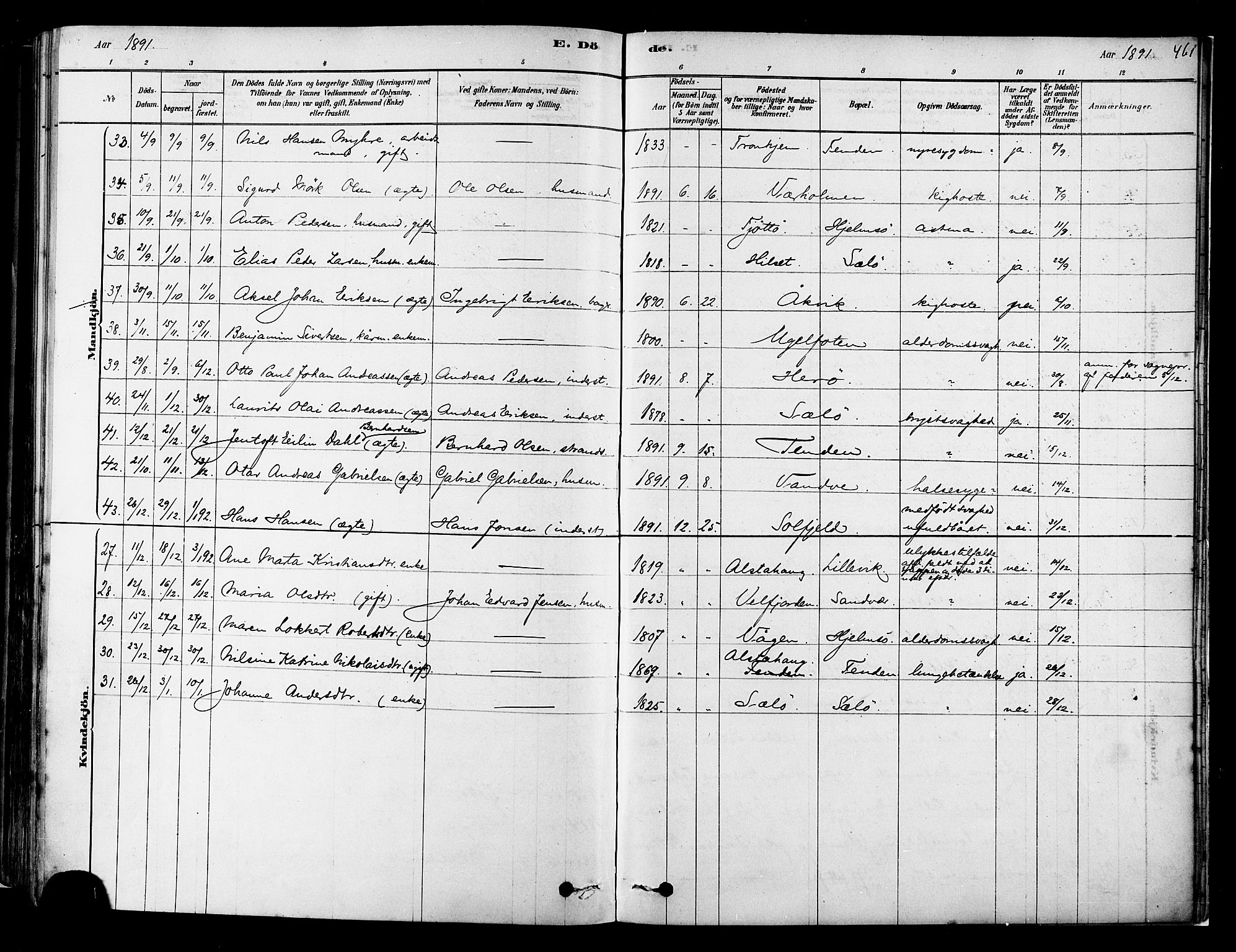 Ministerialprotokoller, klokkerbøker og fødselsregistre - Nordland, AV/SAT-A-1459/834/L0507: Parish register (official) no. 834A05, 1878-1892, p. 461