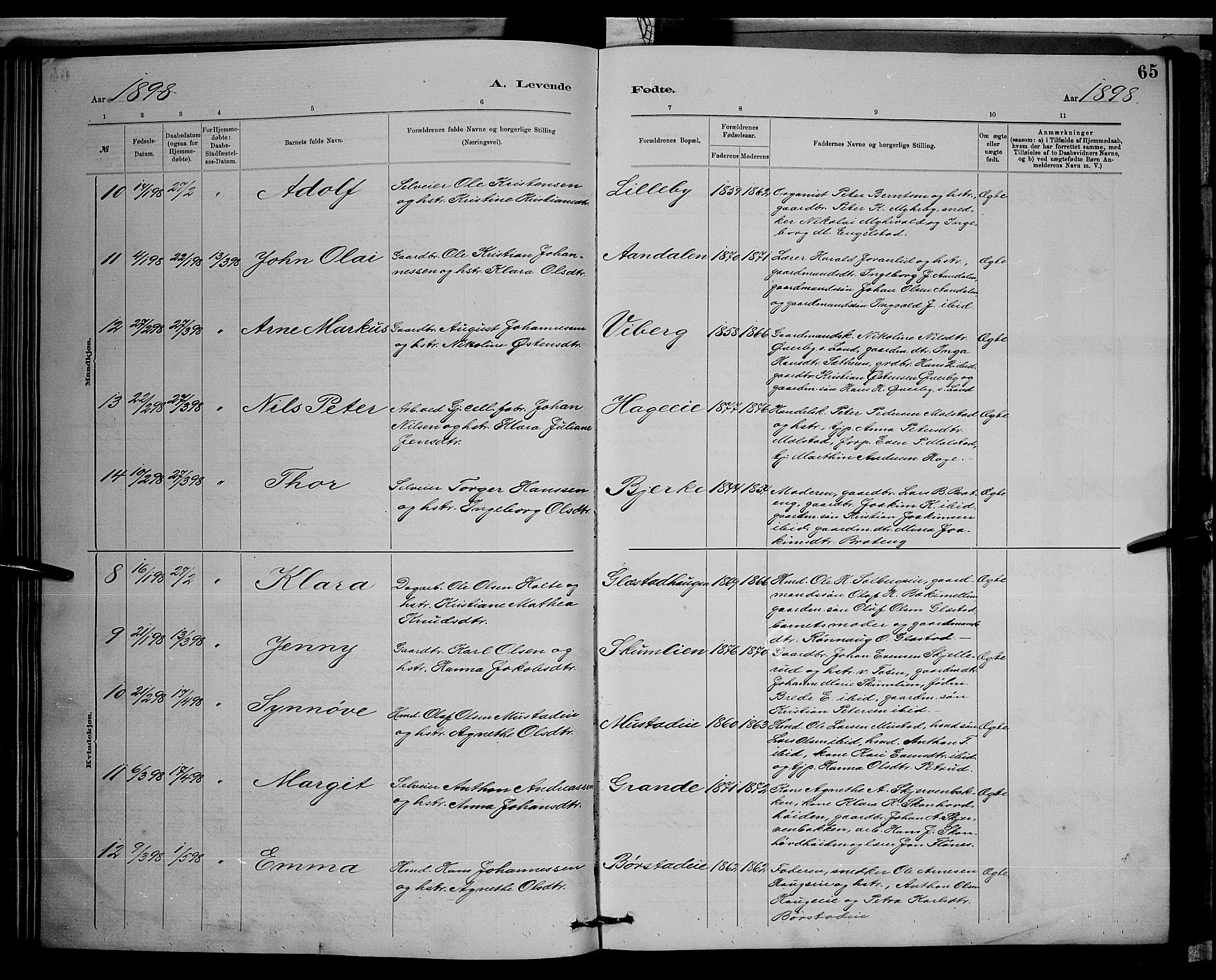 Vardal prestekontor, SAH/PREST-100/H/Ha/Hab/L0008: Parish register (copy) no. 8, 1881-1898, p. 65