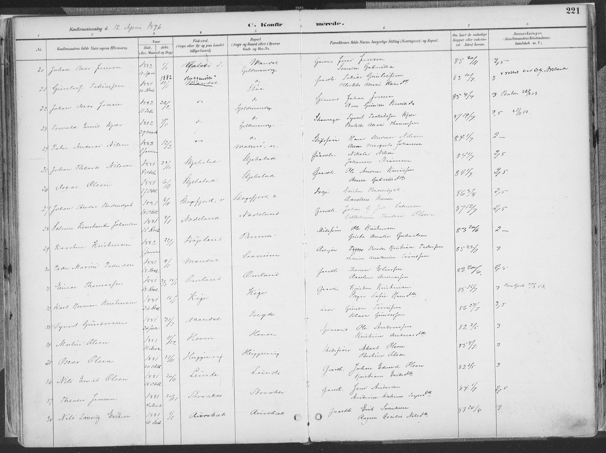 Mandal sokneprestkontor, SAK/1111-0030/F/Fa/Faa/L0018: Parish register (official) no. A 18, 1890-1905, p. 221