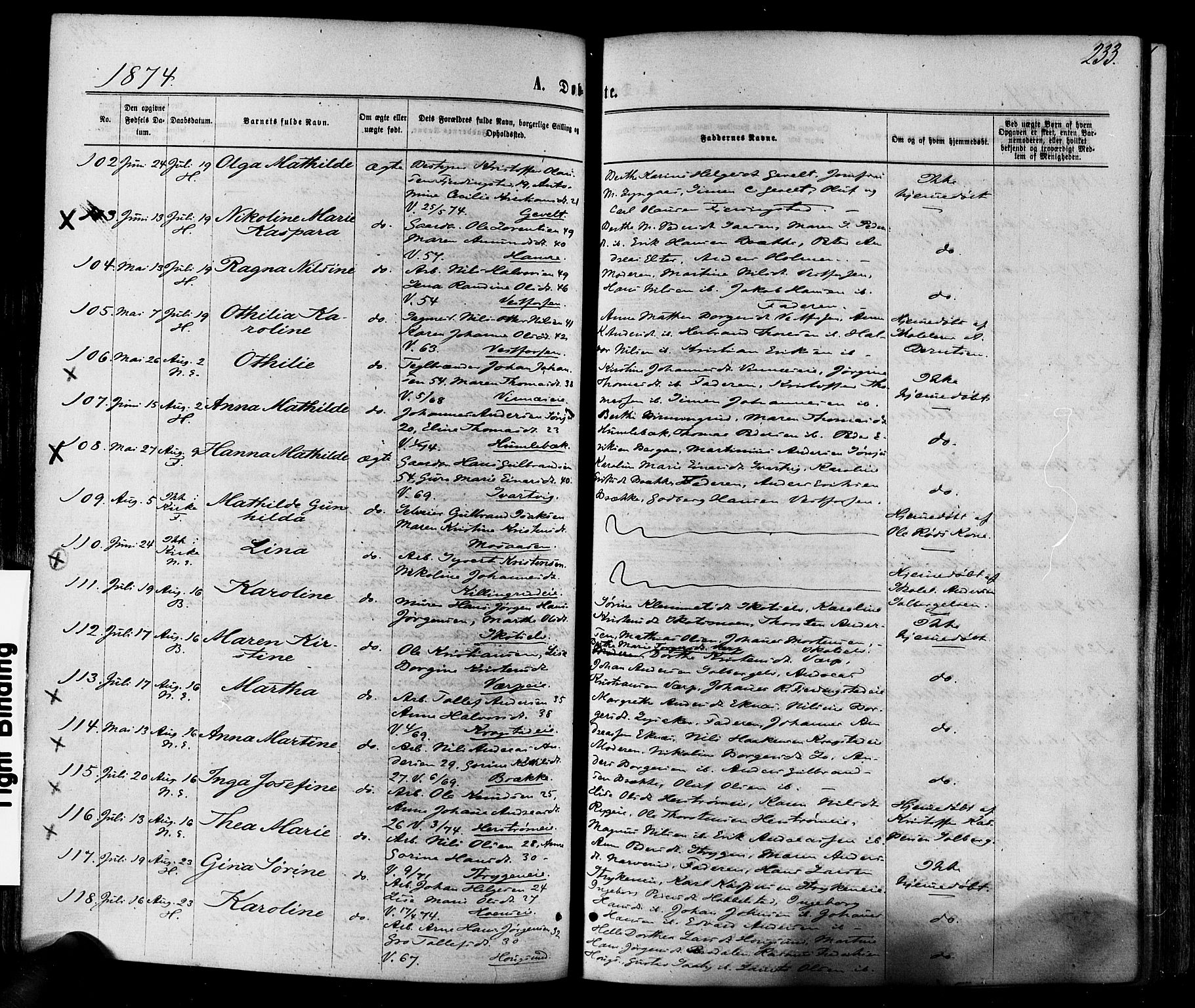 Eiker kirkebøker, SAKO/A-4/F/Fa/L0017: Parish register (official) no. I 17, 1869-1877, p. 233