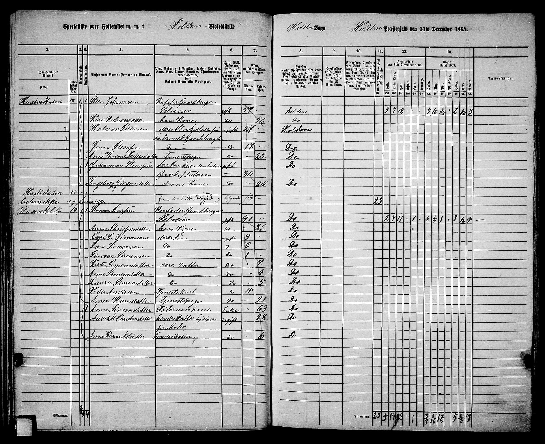 RA, 1865 census for Holla, 1865, p. 42