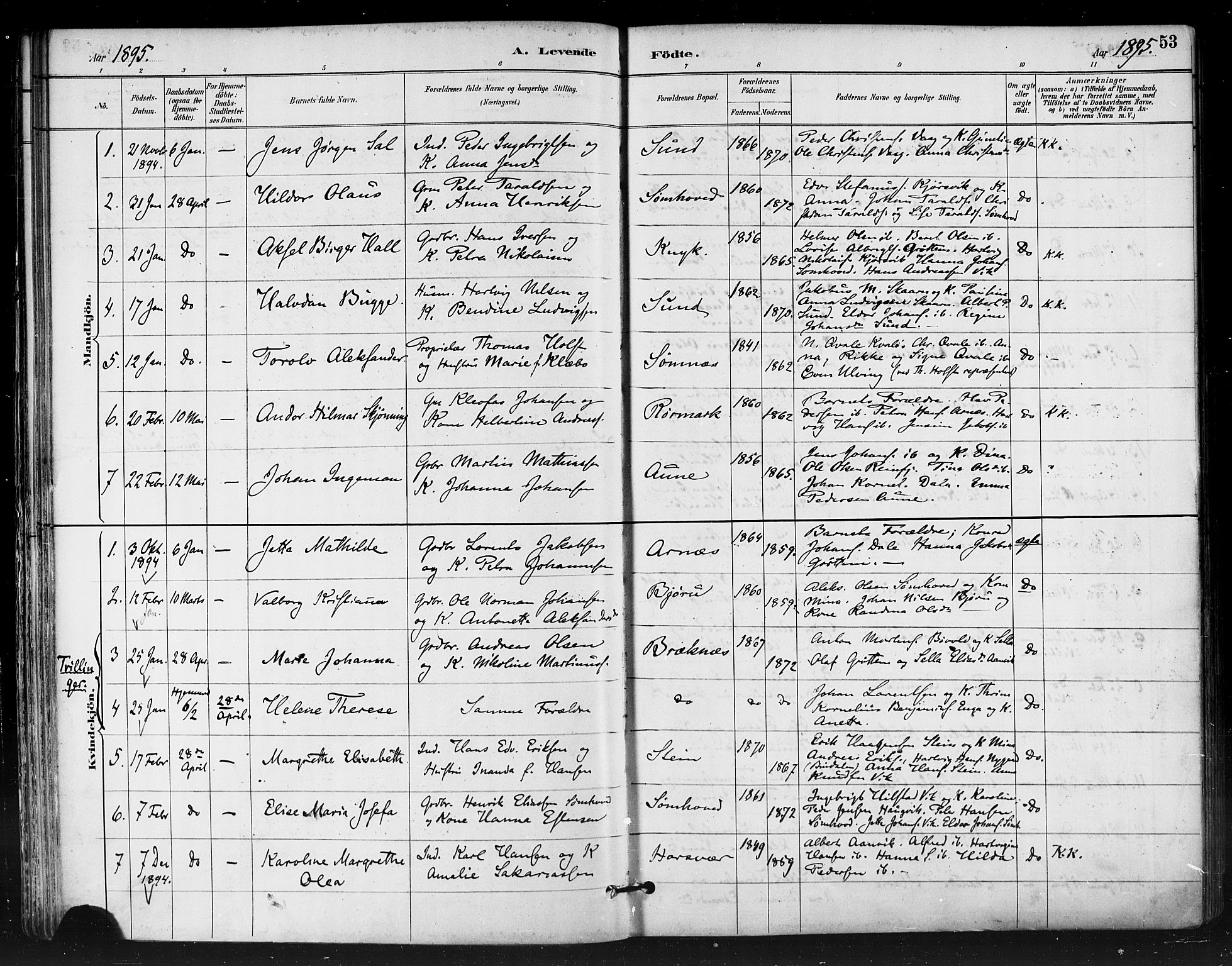 Ministerialprotokoller, klokkerbøker og fødselsregistre - Nordland, SAT/A-1459/812/L0178: Parish register (official) no. 812A07, 1886-1900, p. 53