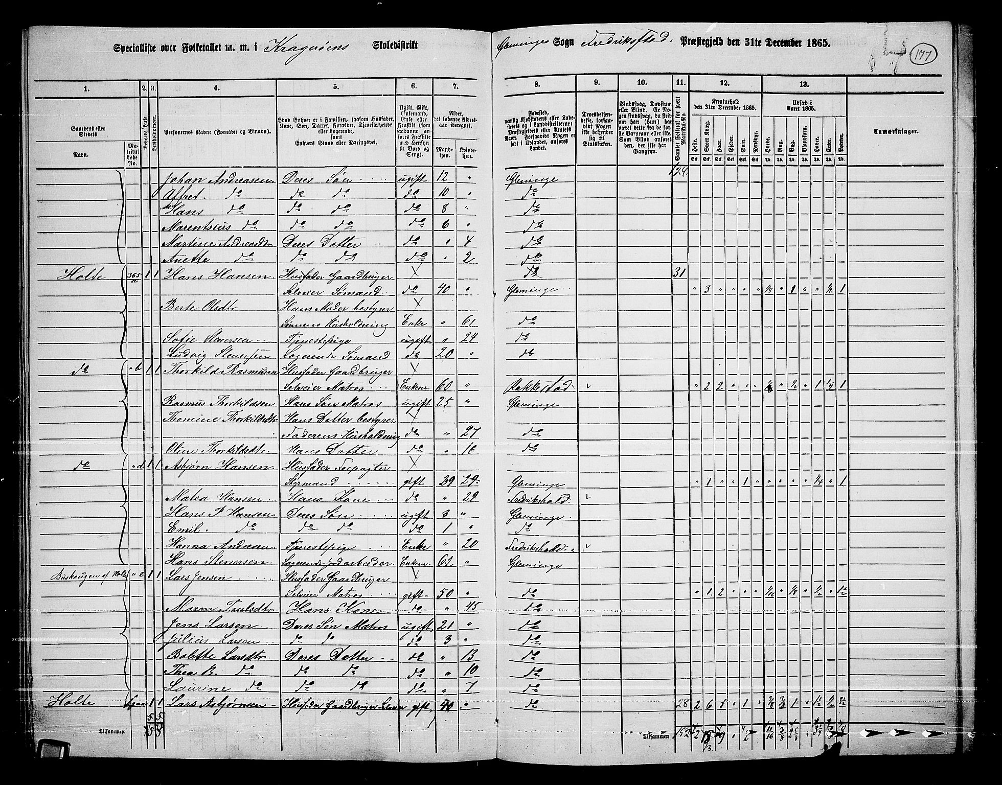 RA, 1865 census for Fredrikstad/Glemmen, 1865, p. 166