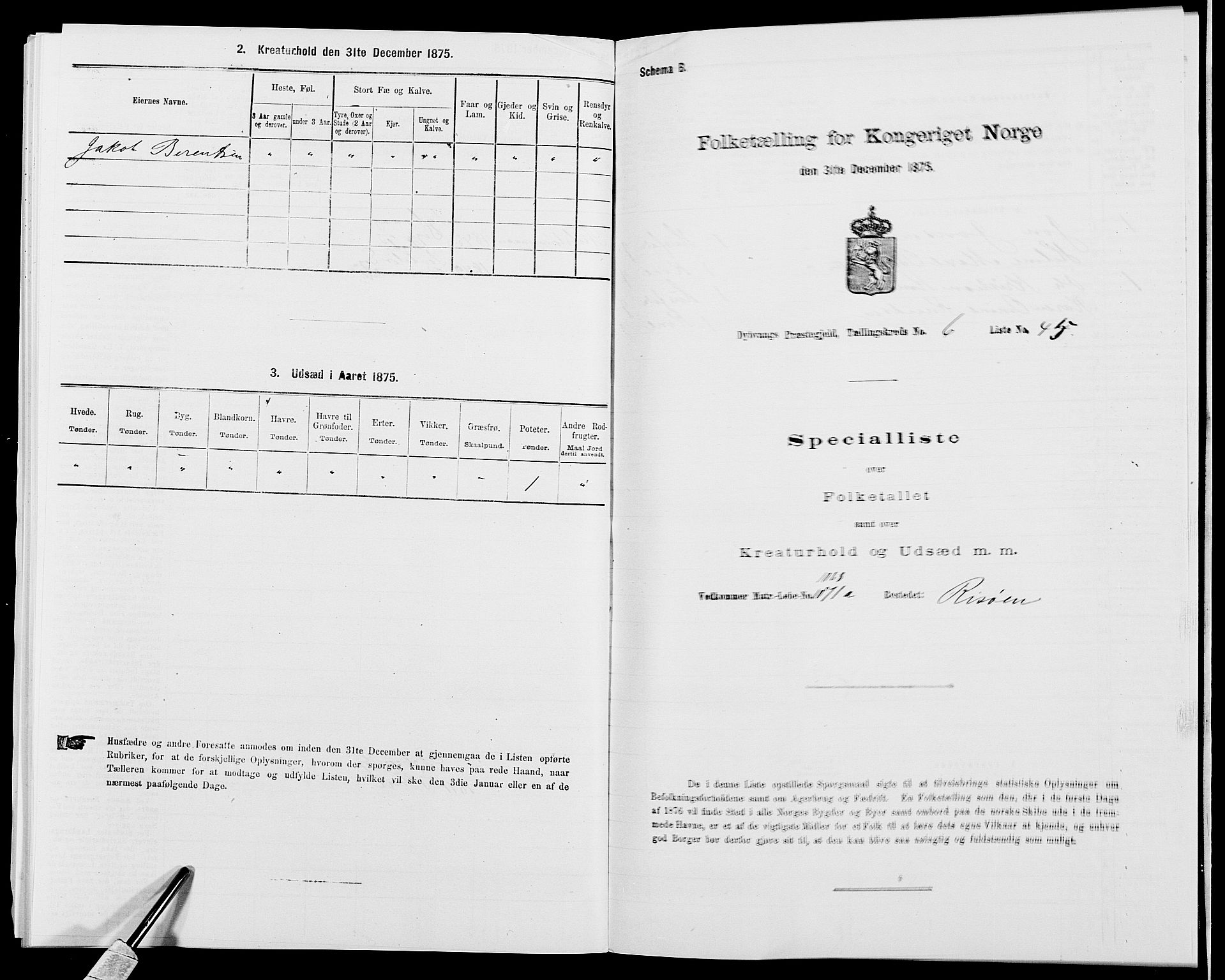 SAK, 1875 census for 0915P Dypvåg, 1875, p. 810